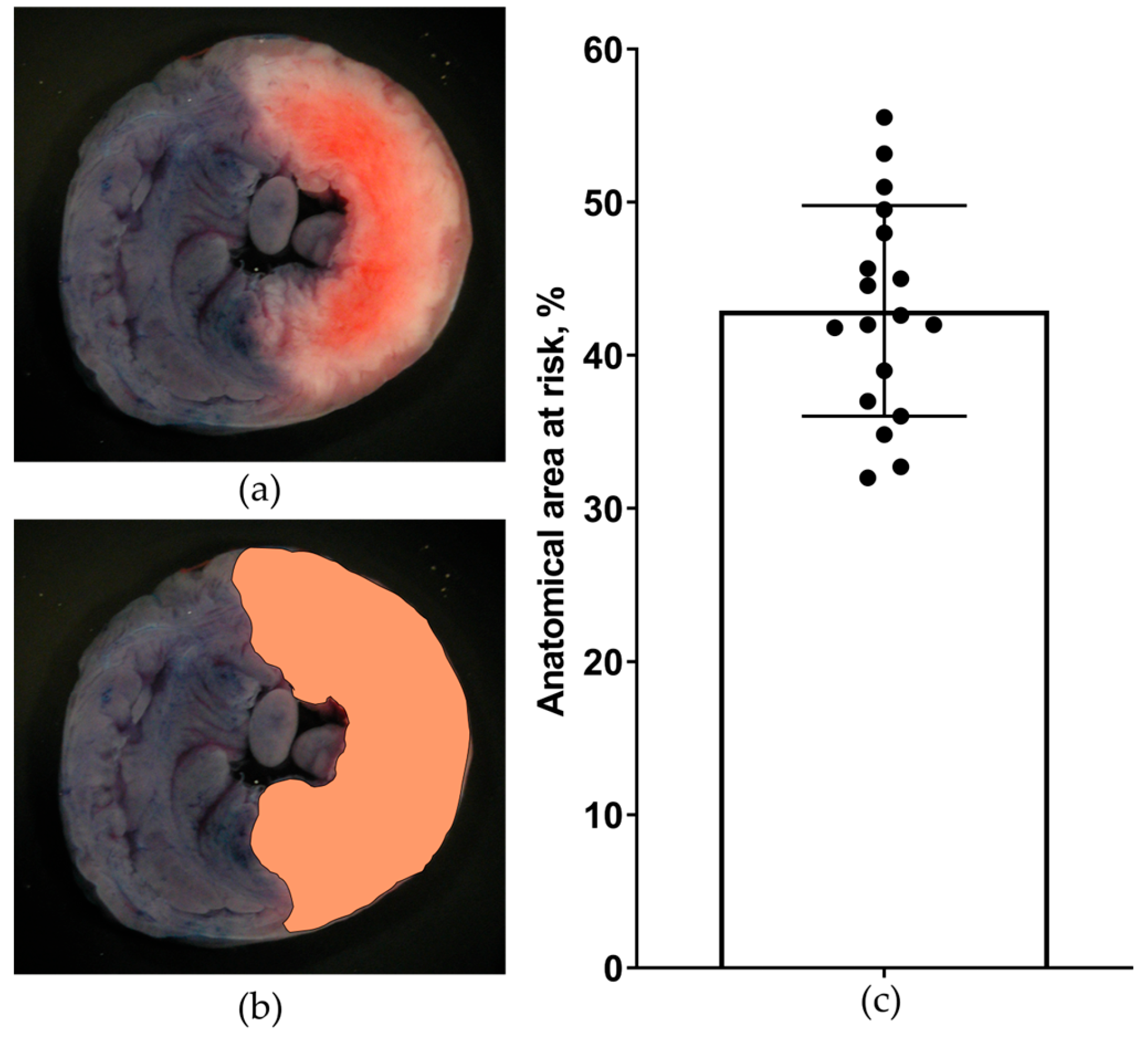 Diagnostics 13 02795 g003