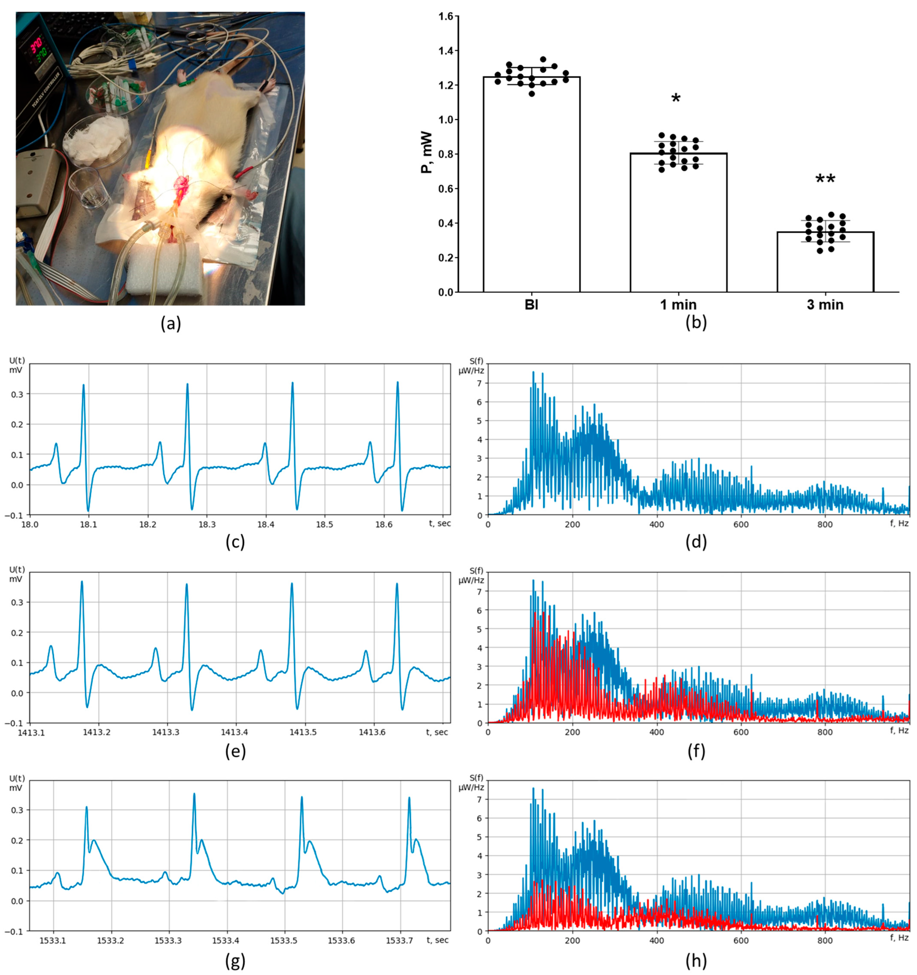 Diagnostics 13 02795 g004