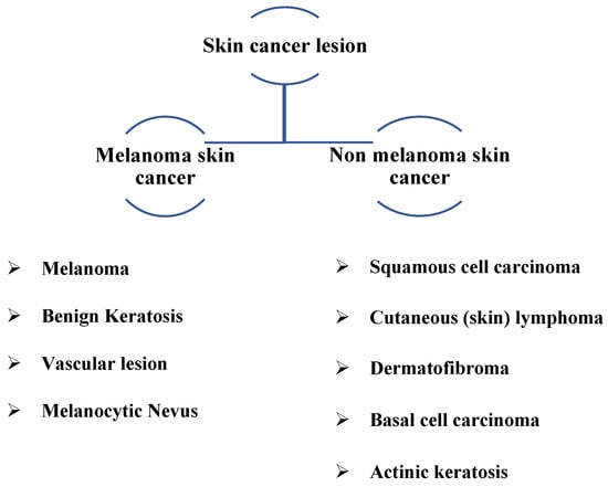 Diagnostics | Free Full-Text | Early Melanoma Detection Based on a ...