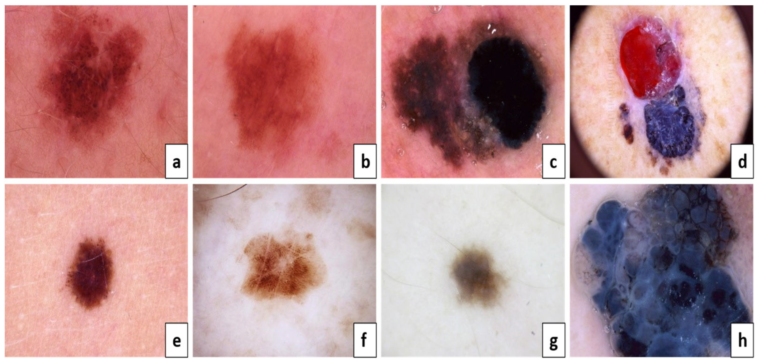 Diagnostics 13 02804 g002