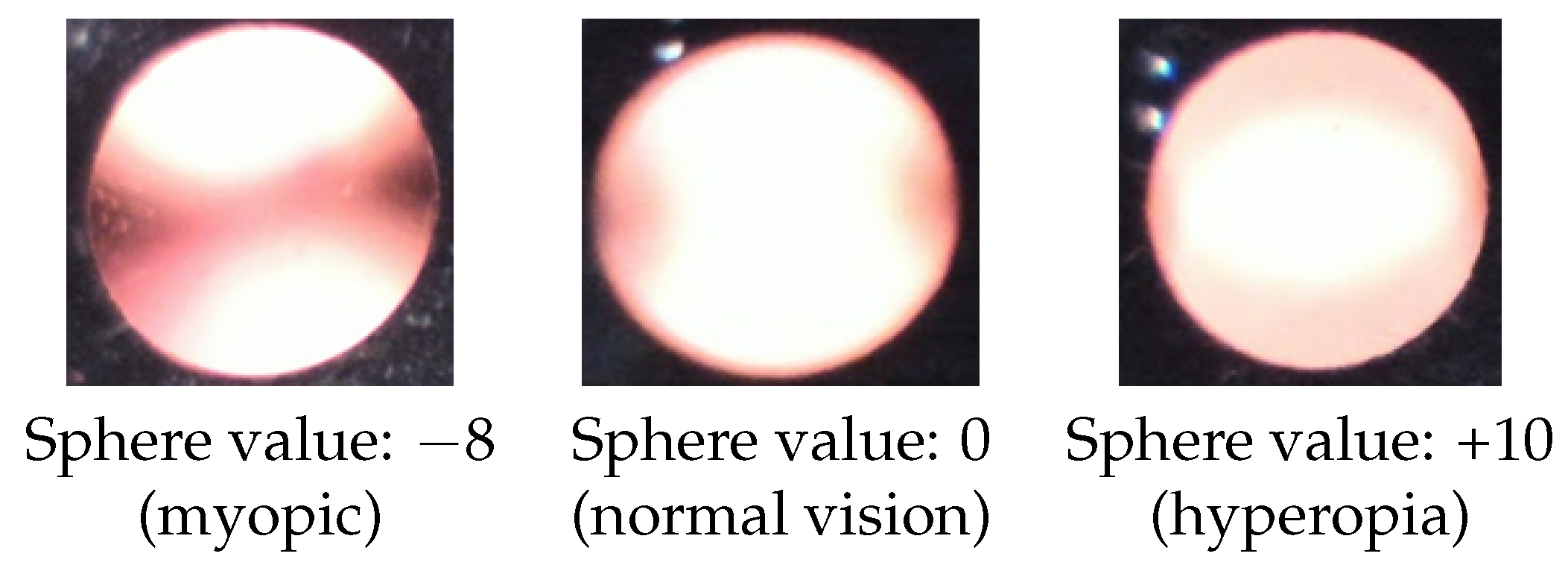 Diagnostics 13 02810 g004