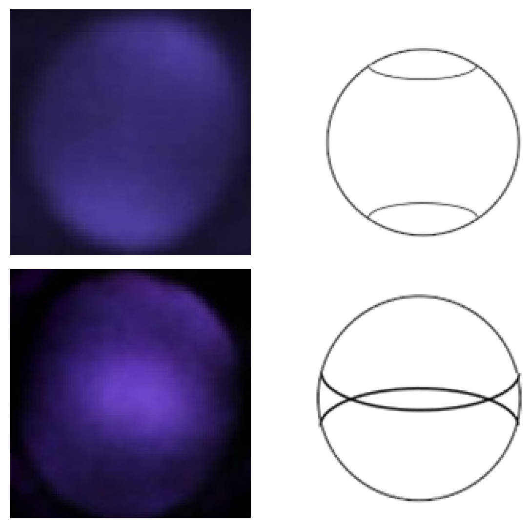Diagnostics 13 02810 g005