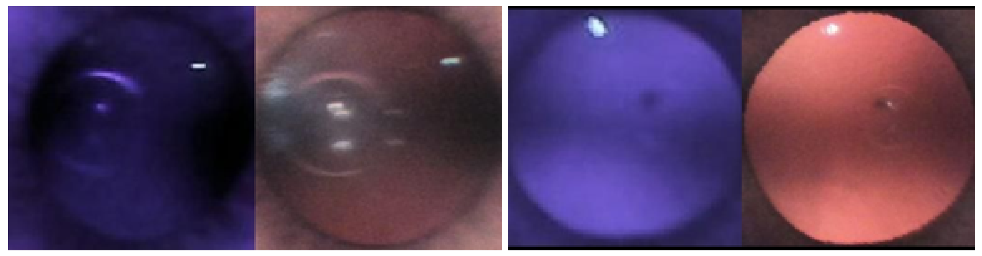 Diagnostics 13 02810 g016