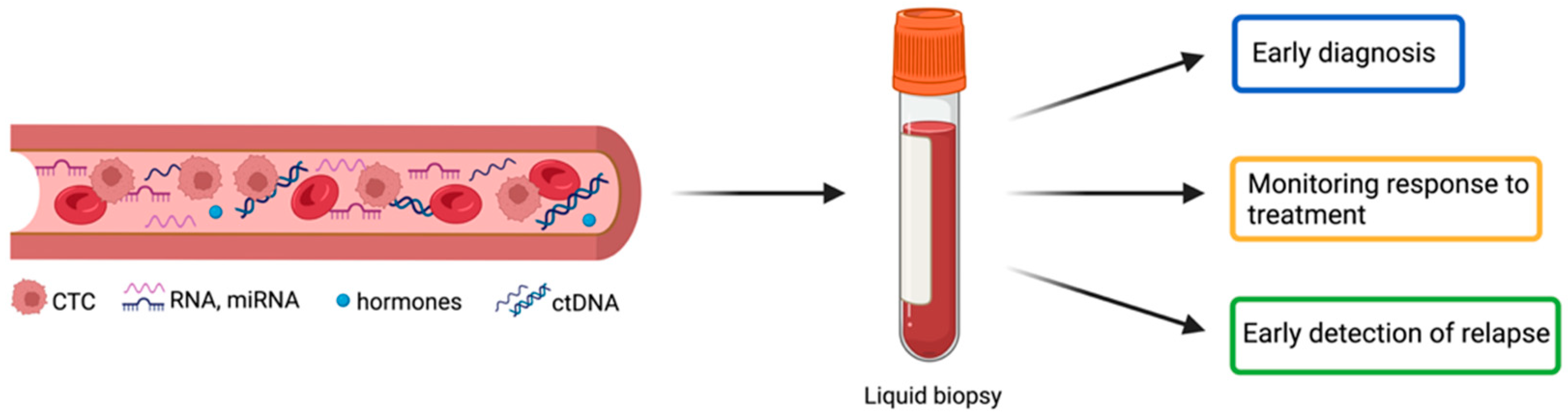 Diagnostics 13 02820 g001