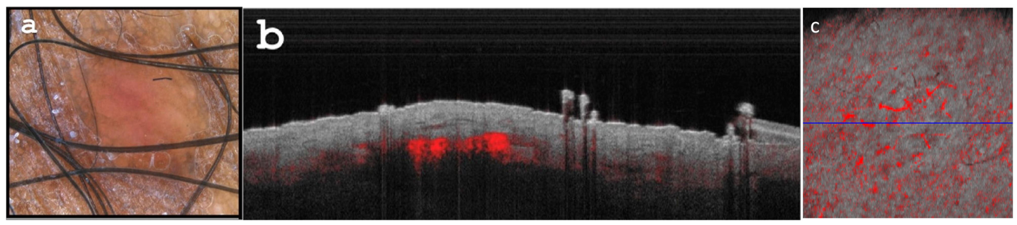 Diagnostics 13 02901 g003