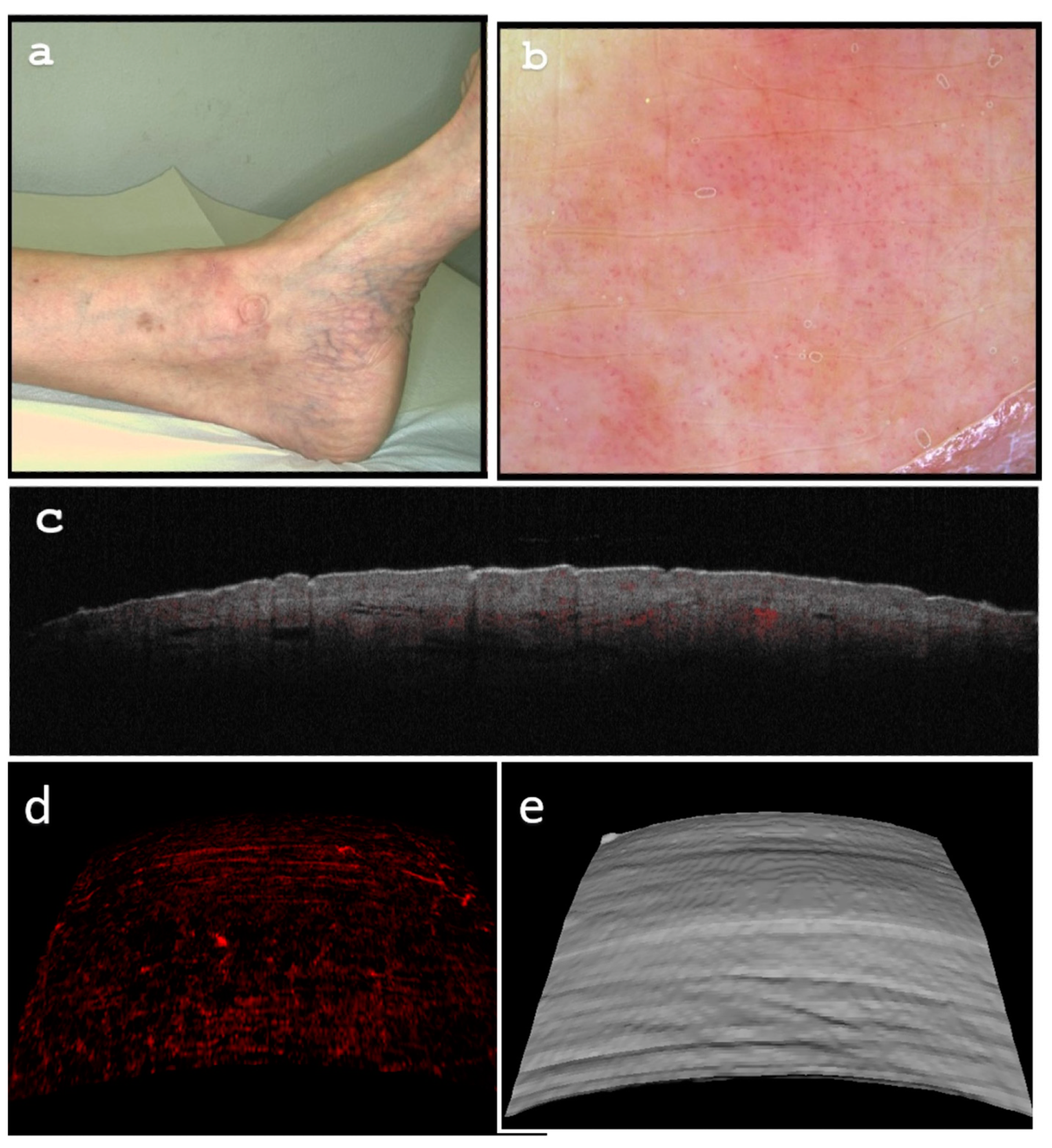 Diagnostics 13 02901 g005