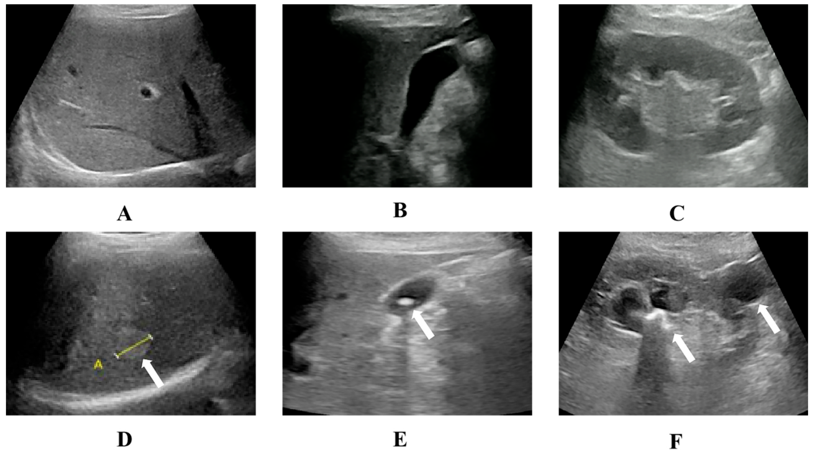 Diagnostics 13 02932 g003