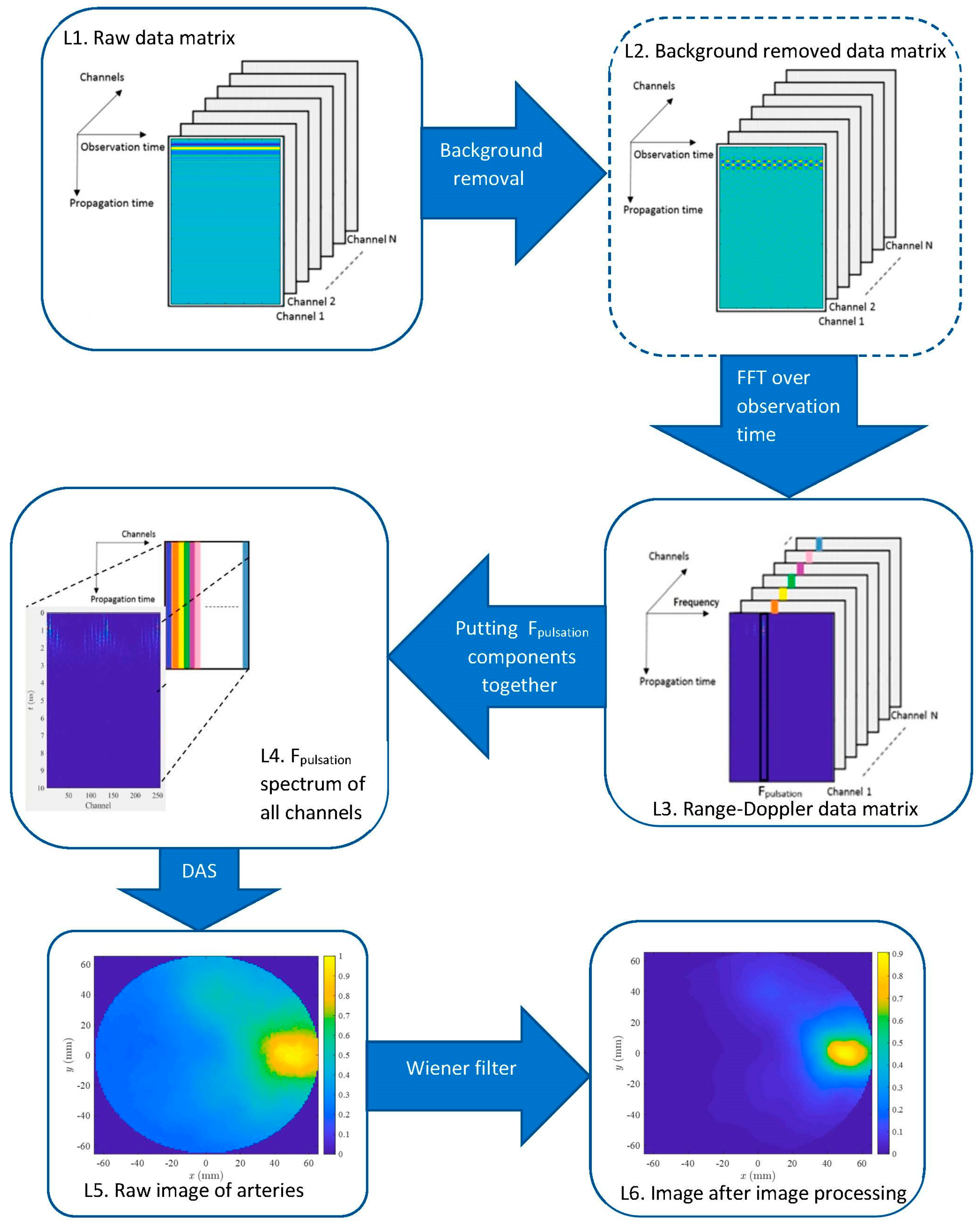 Diagnostics 13 02950 g003