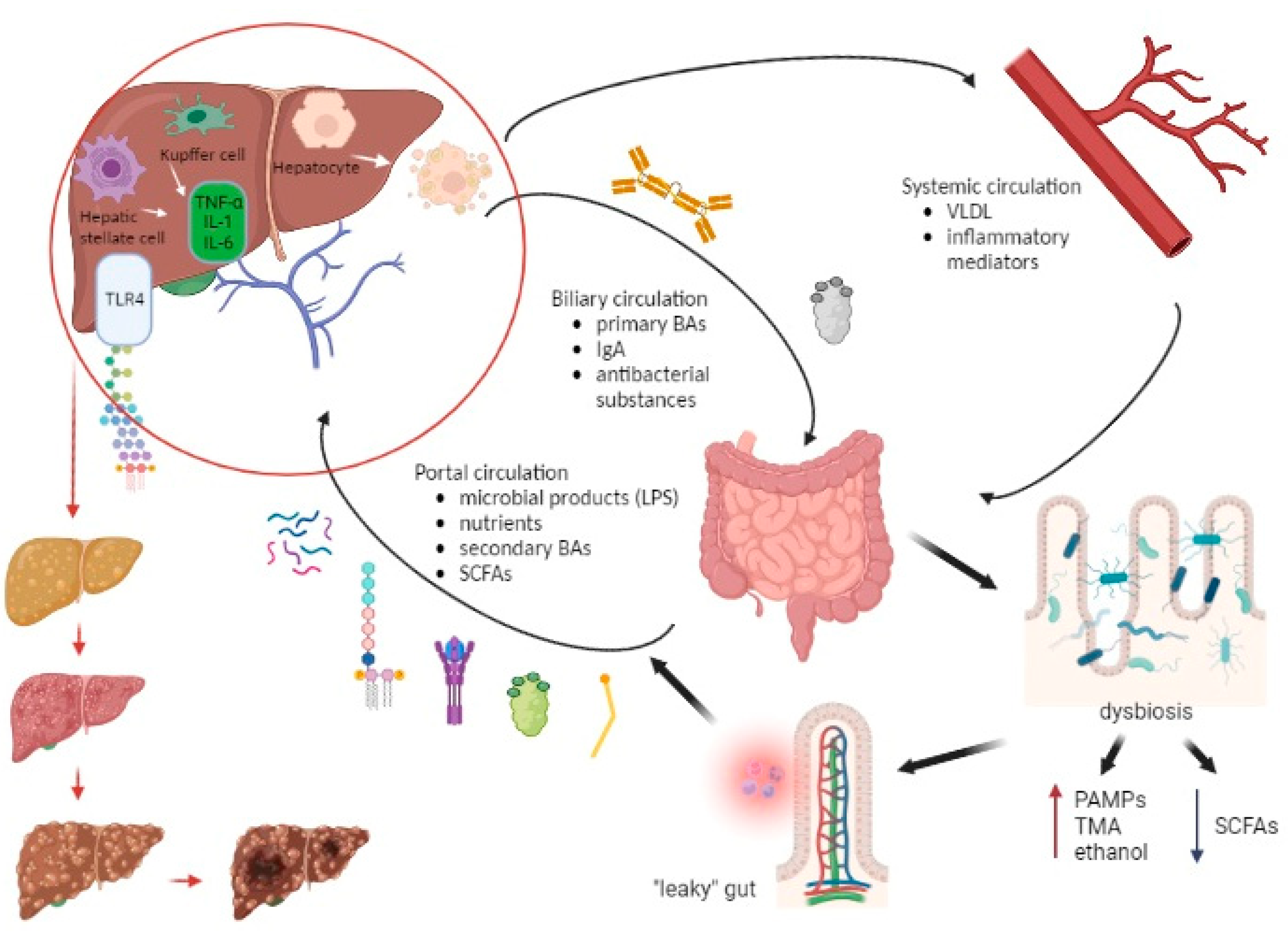 Diagnostics 13 02960 g003 Diagnostics 13 02960 g003