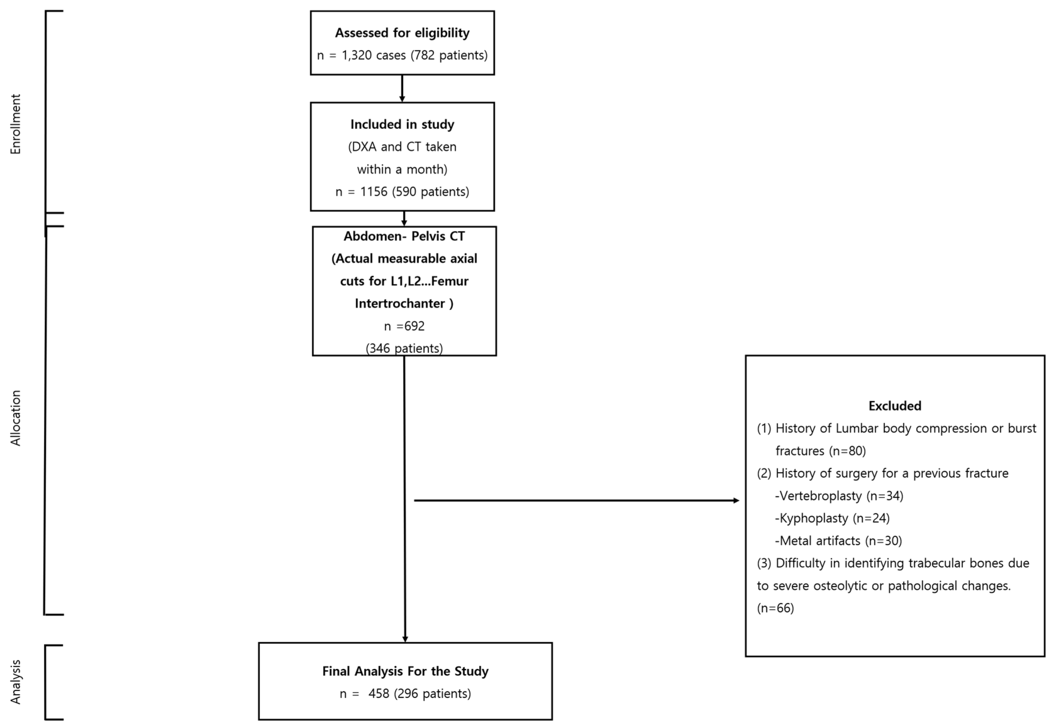 Male vs Female Pelves  Channels for Pearson+