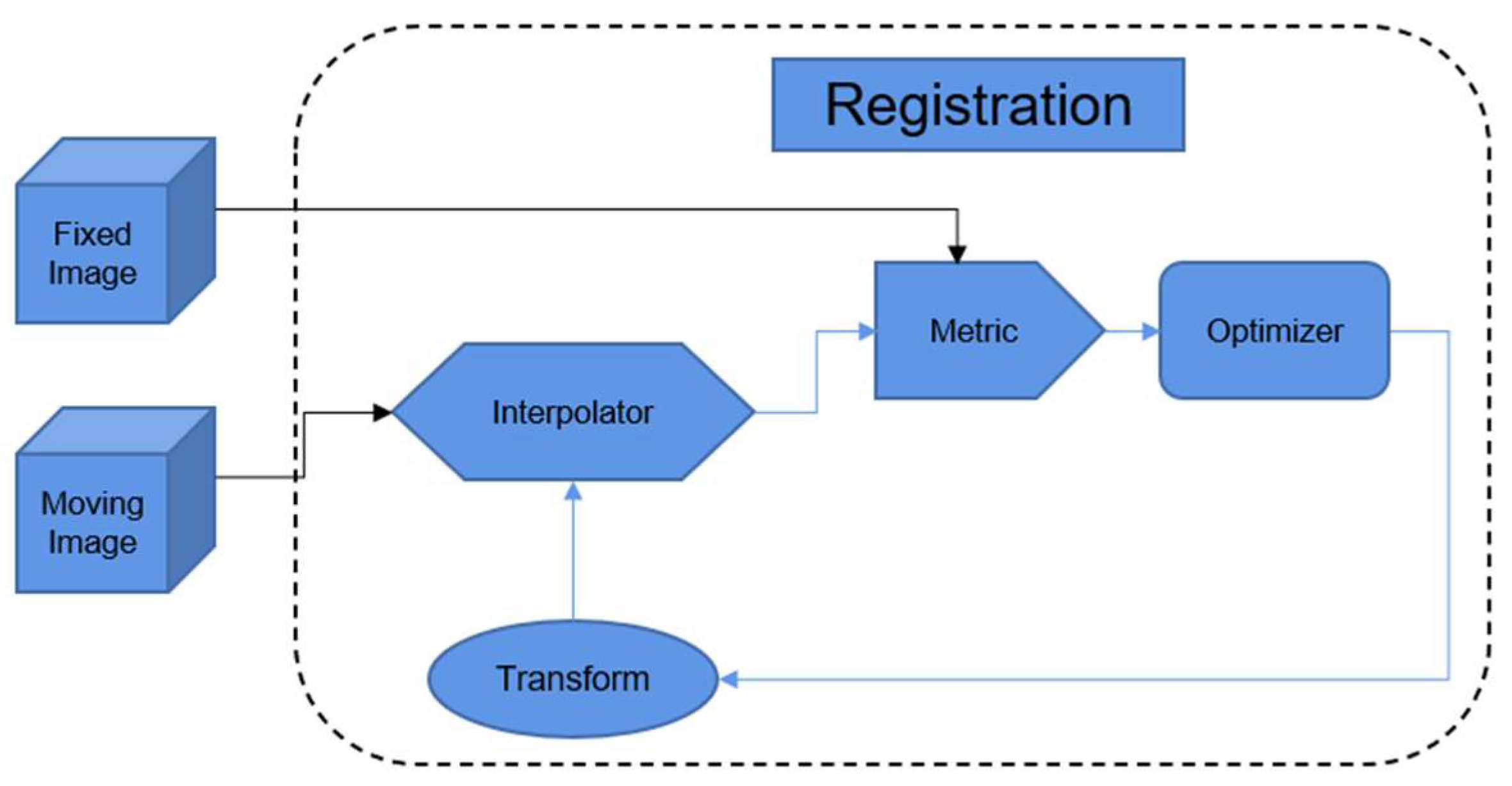 Diagnostics | Free Full-Text | Advances In TEE-Centric Intraprocedural ...