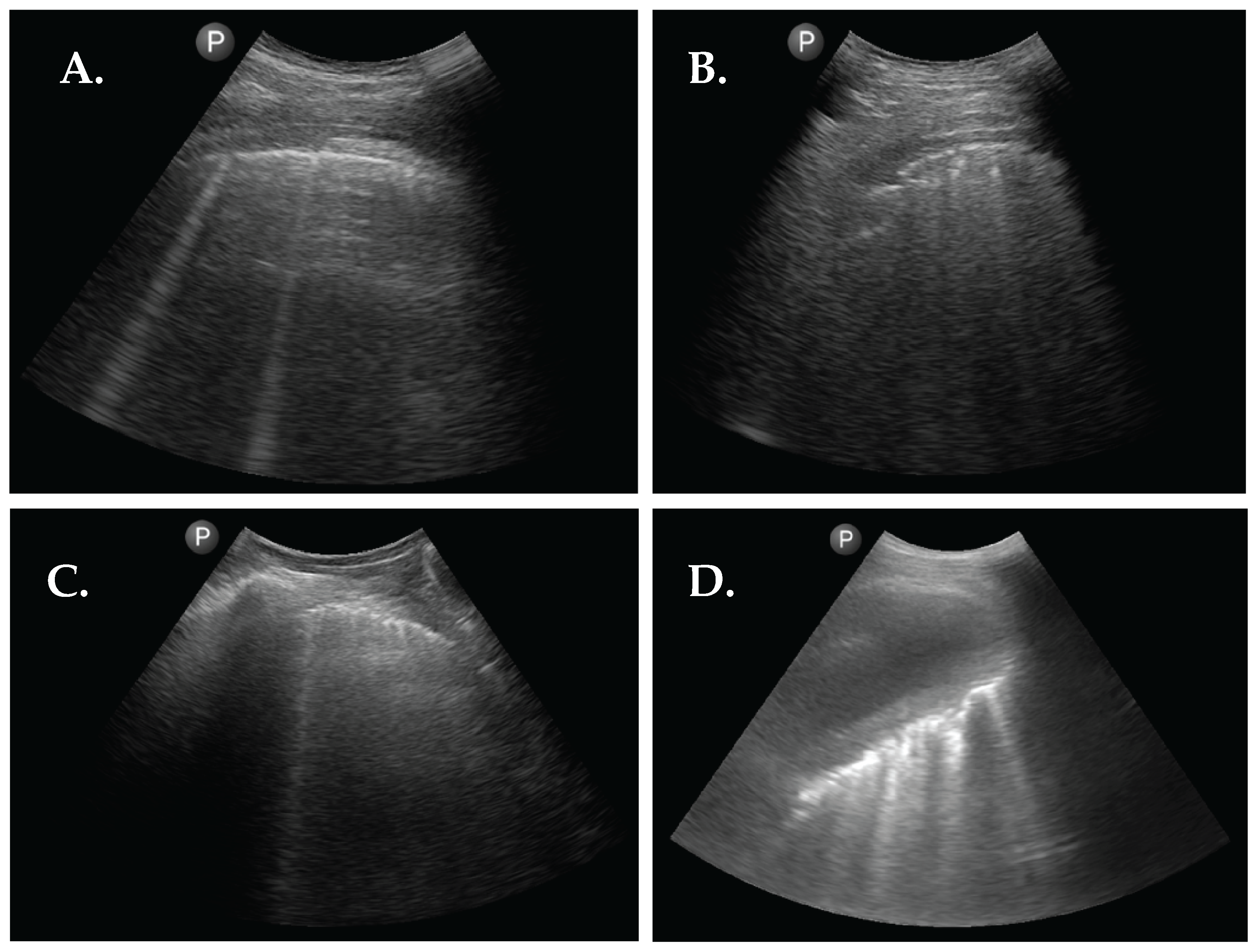 Diagnostics 13 02986 g002 Diagnostics 13 02986 g002