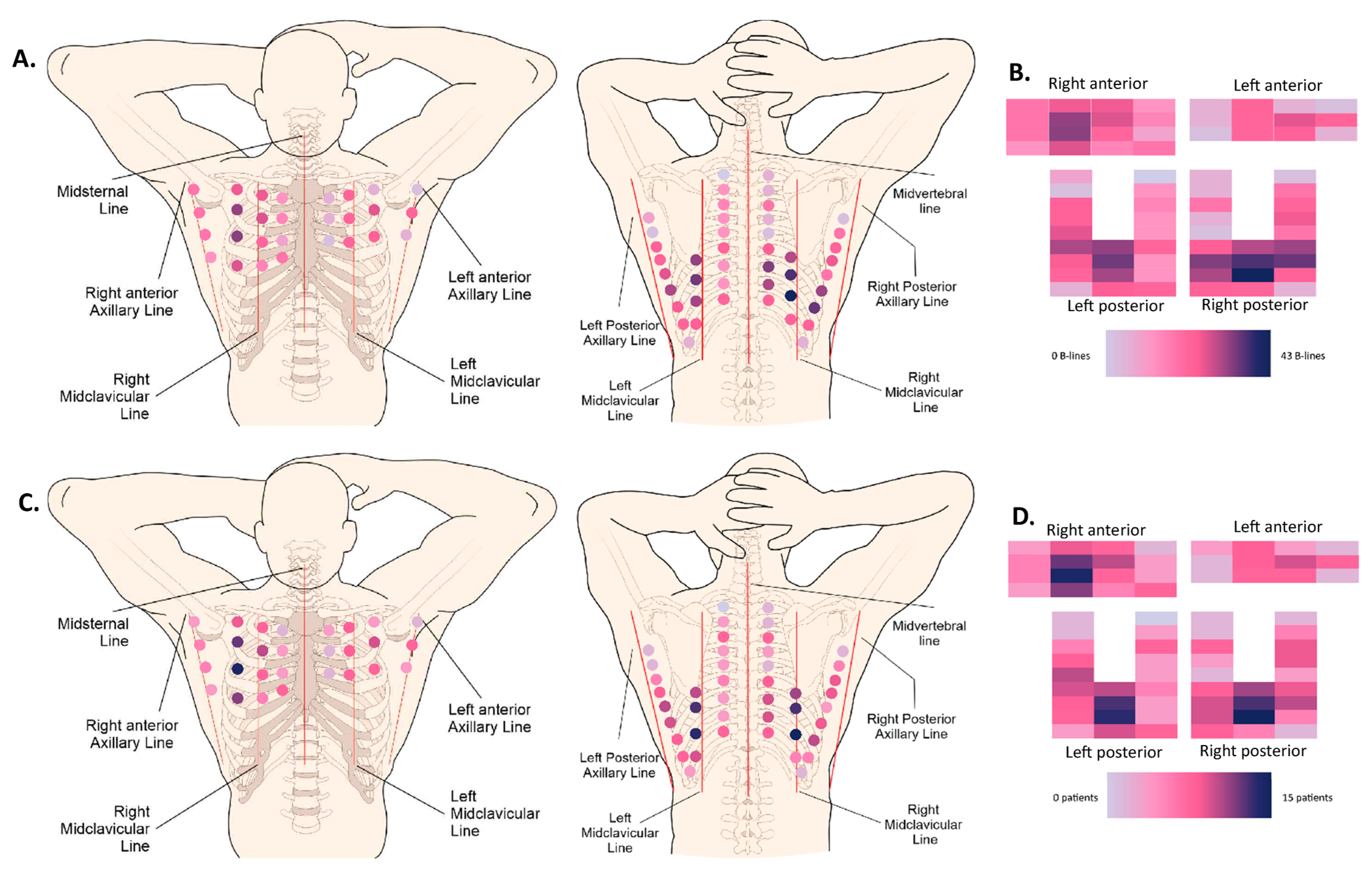 Diagnostics 13 02986 g003 Diagnostics 13 02986 g003