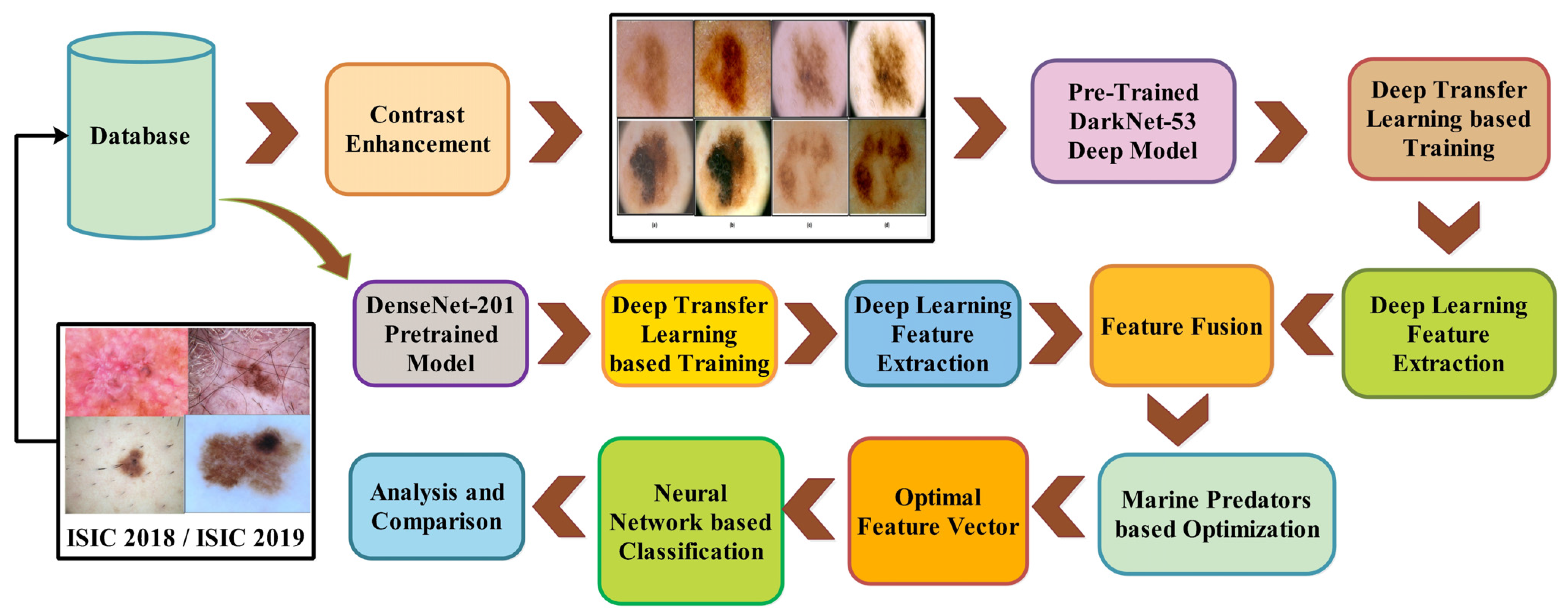 Diagnostics 13 03063 g001
