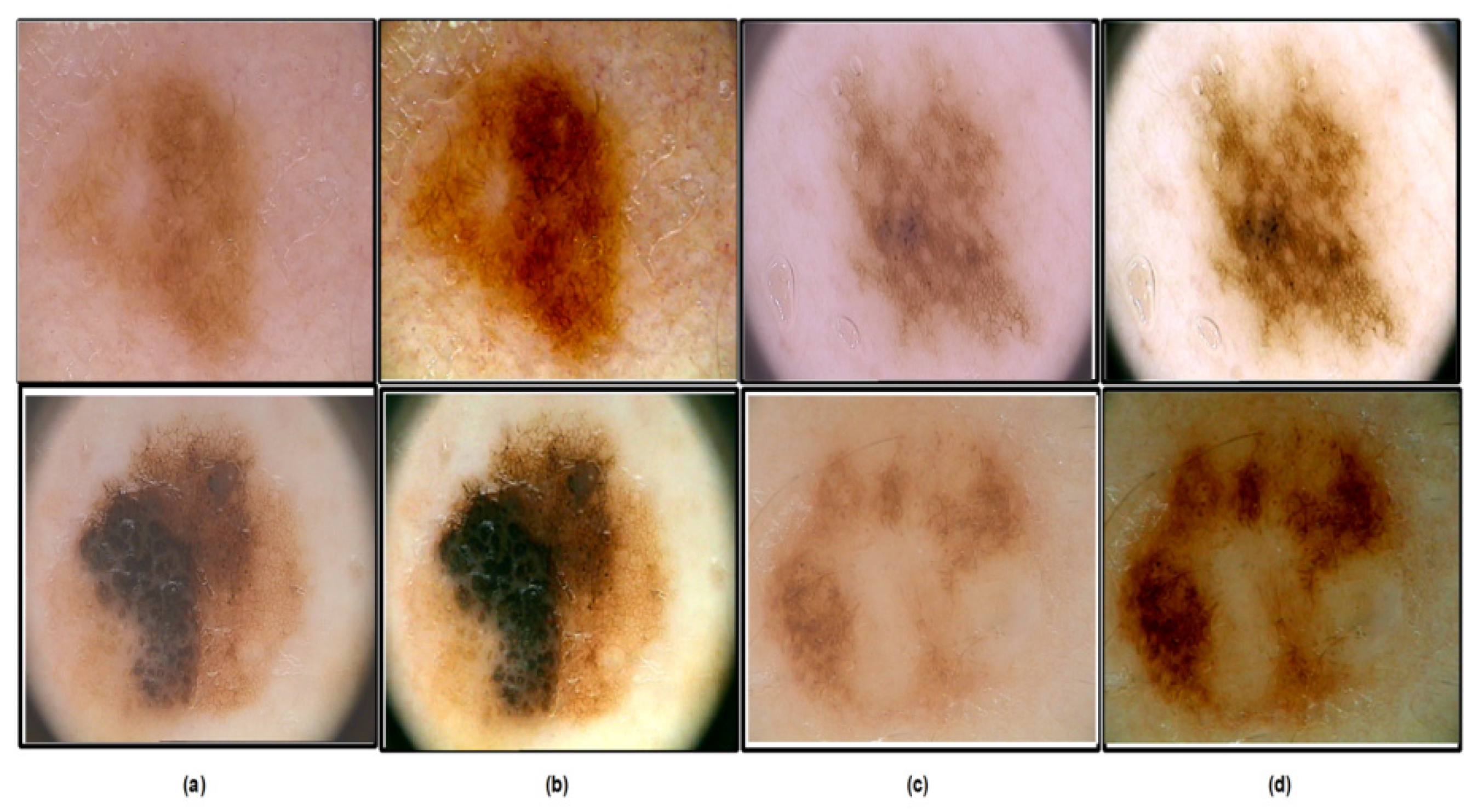 Diagnostics 13 03063 g003