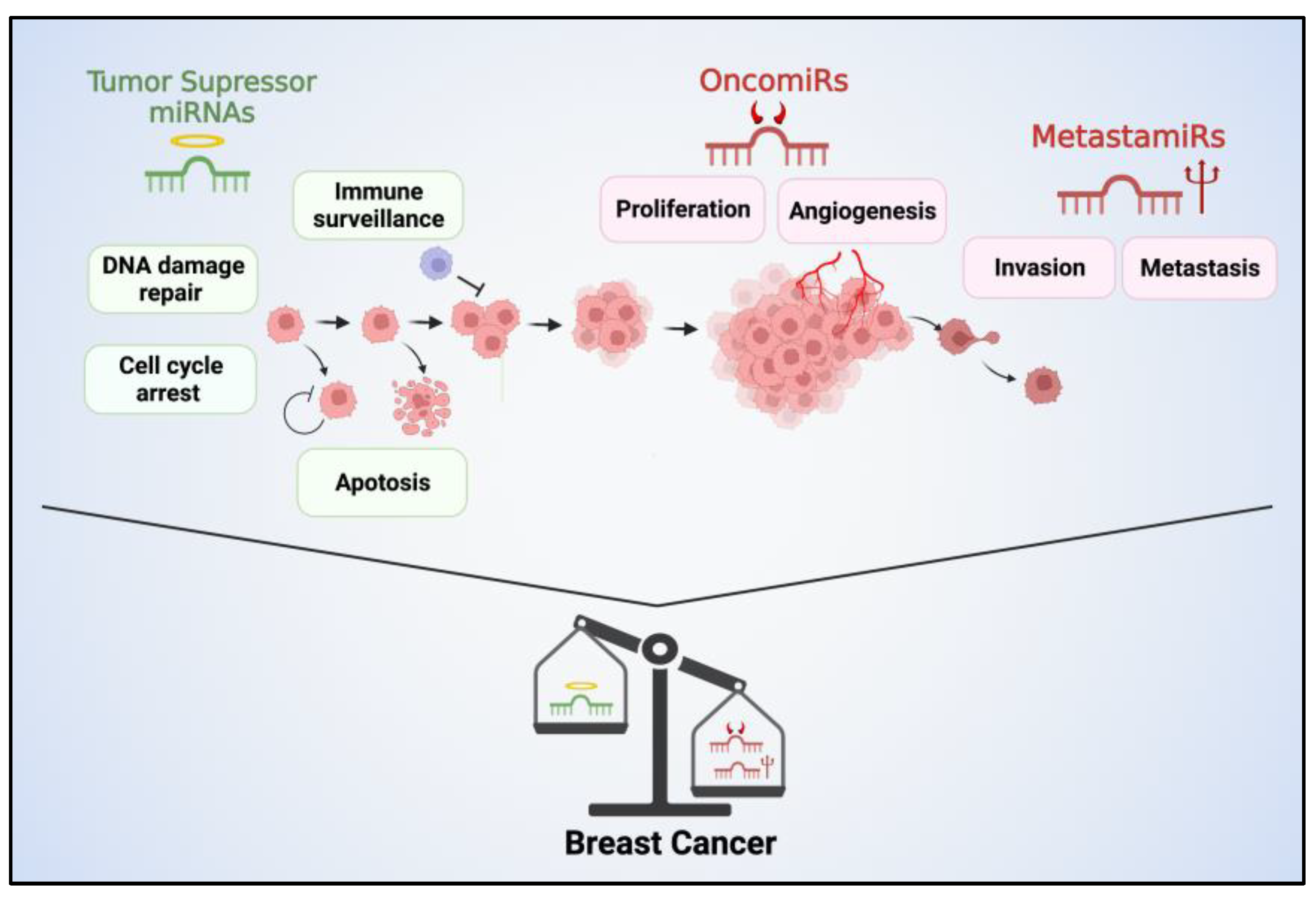 Diagnostics 13 03072 g001