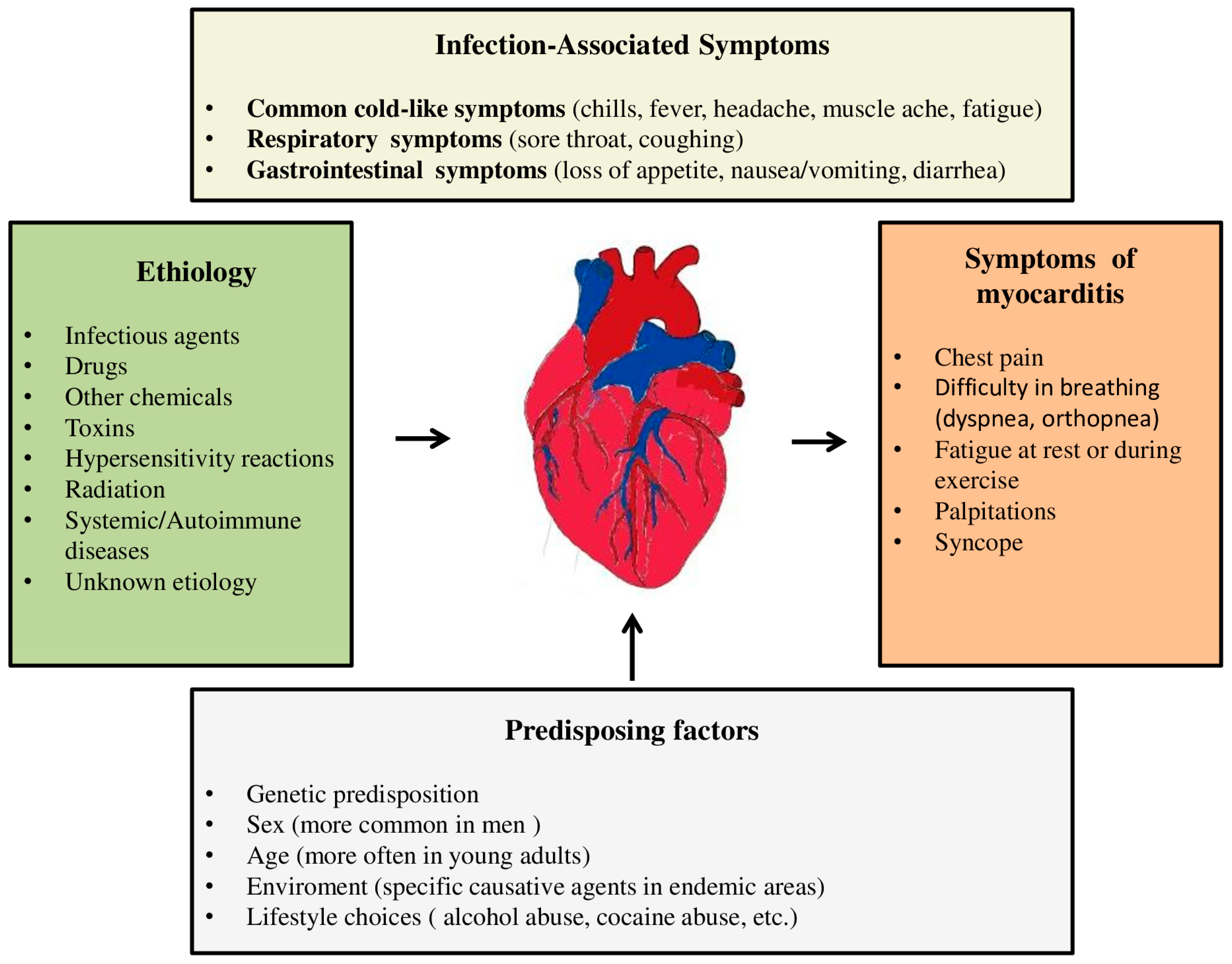 Diagnostics | Free Full-Text | Update on Myocarditis: From Etiology and ...