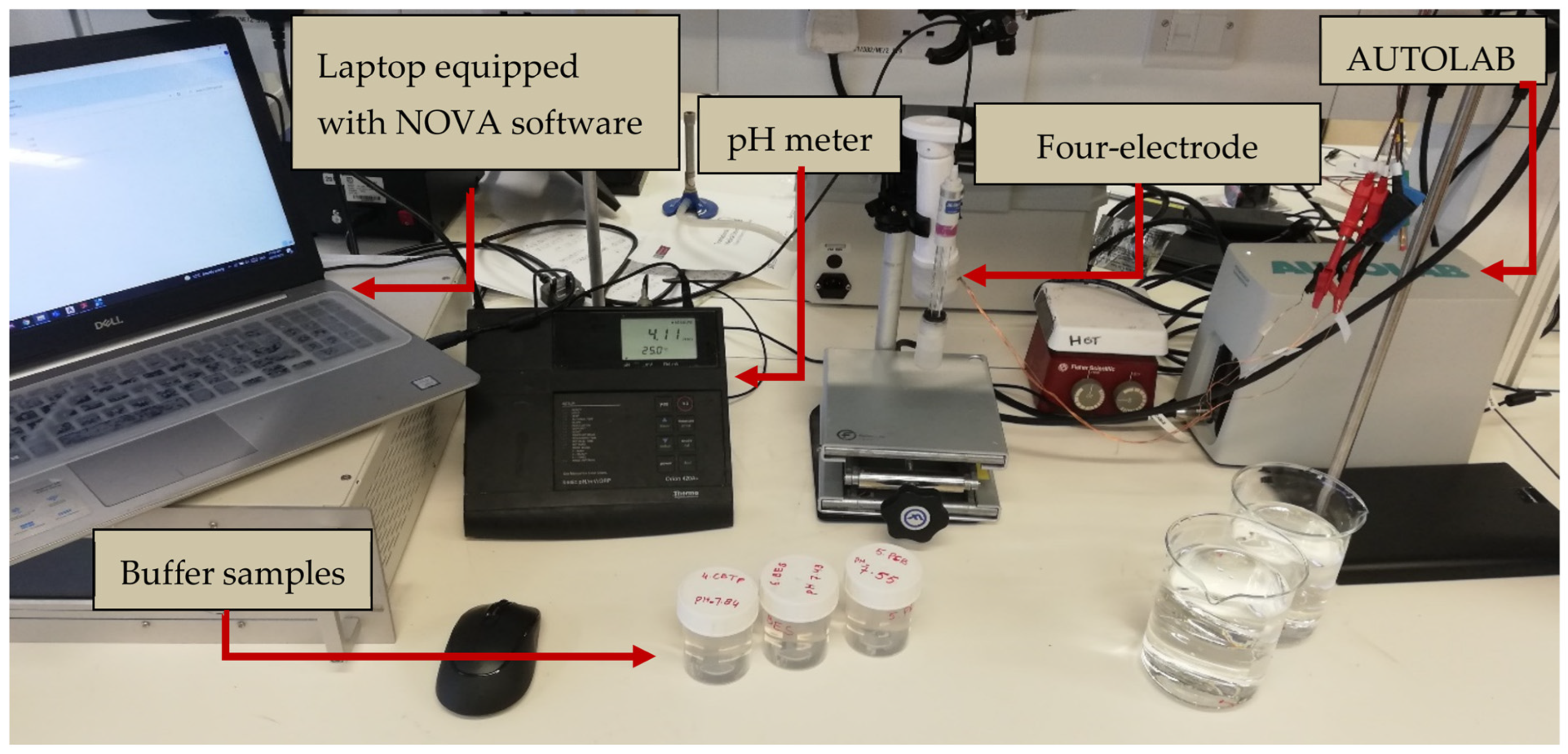 Diagnostics 13 03125 g003