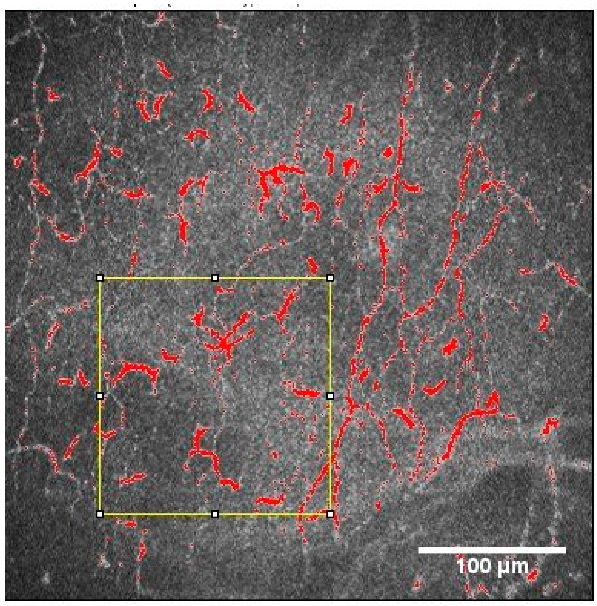 Diagnostics 13 03188 g002