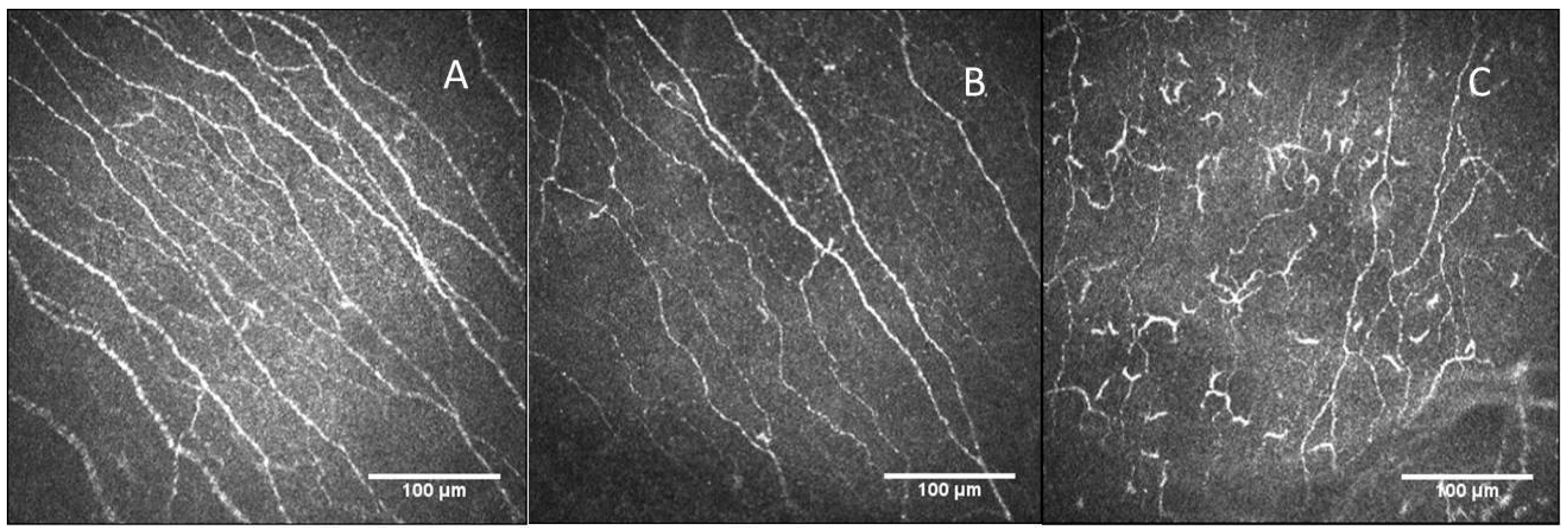 Diagnostics 13 03188 g004