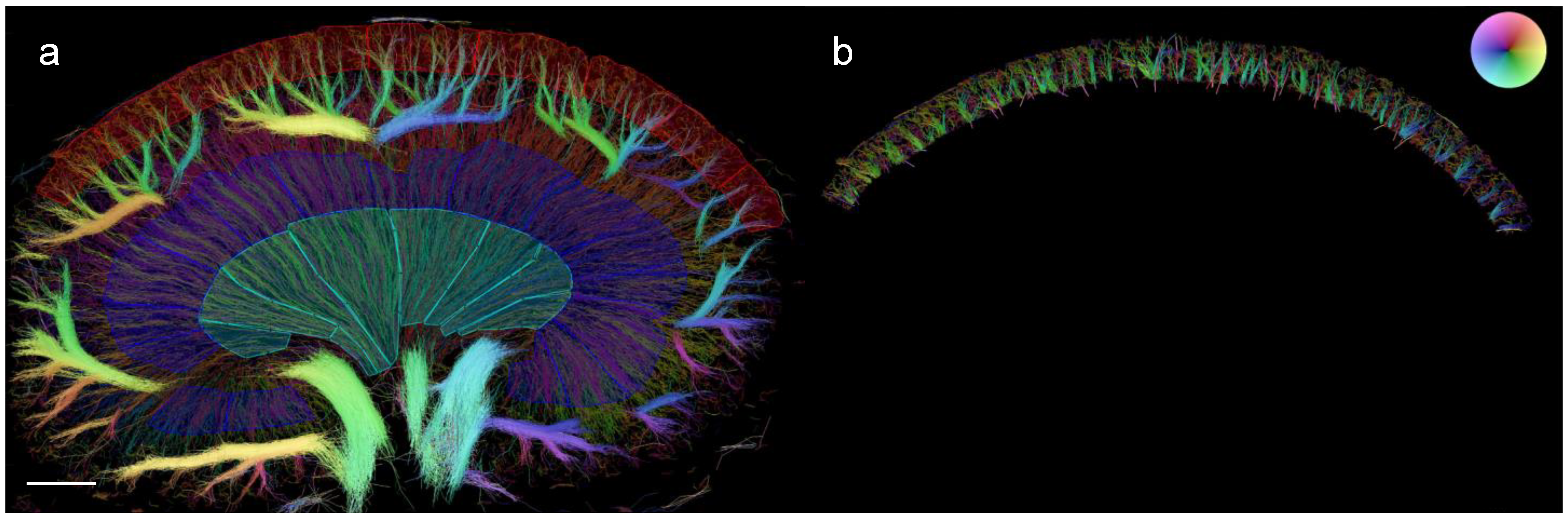 Diagnostics 13 03197 g002