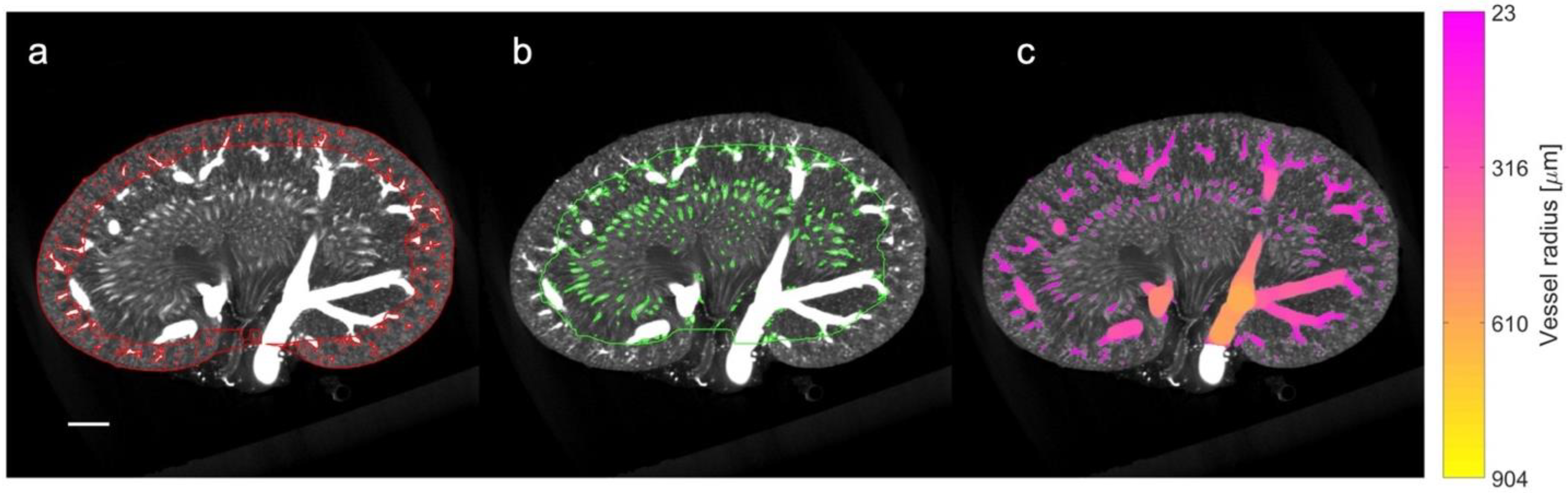 Diagnostics 13 03197 g003