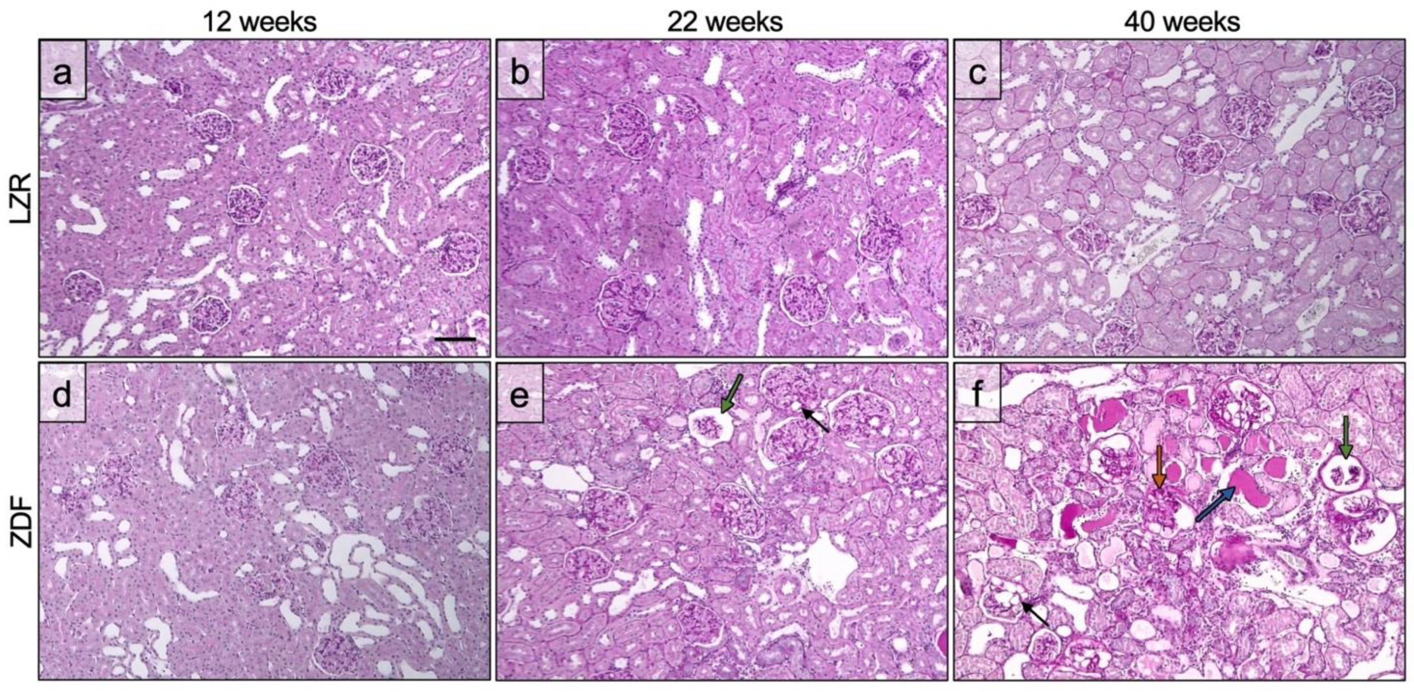 Diagnostics 13 03197 g006