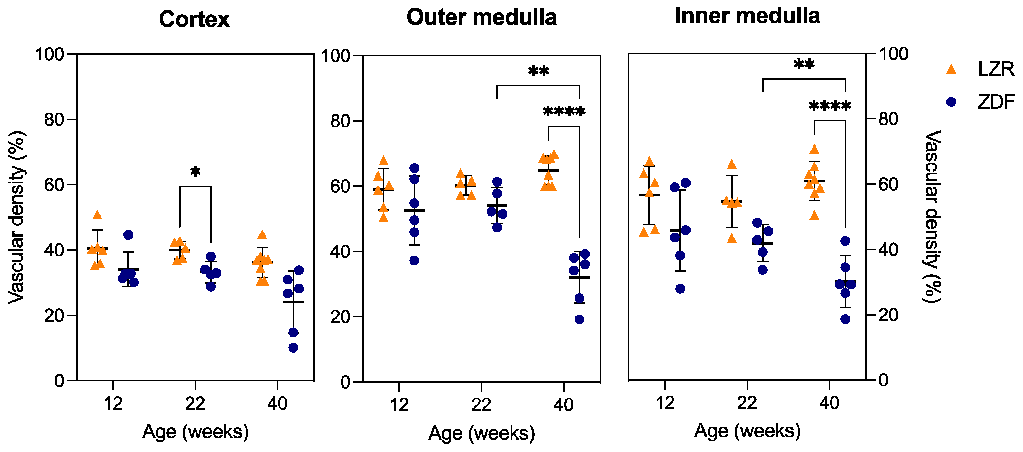Diagnostics 13 03197 g008