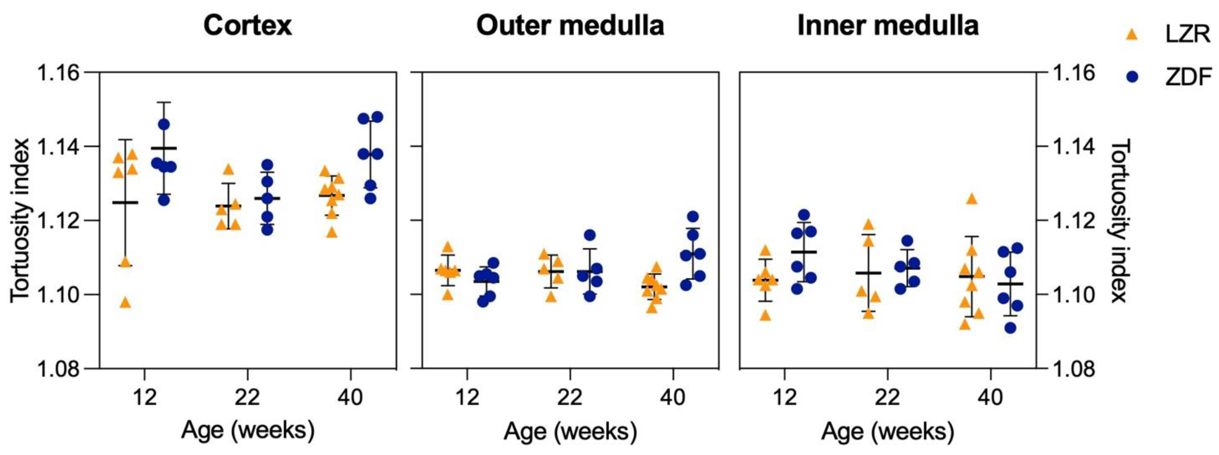 Diagnostics 13 03197 g009