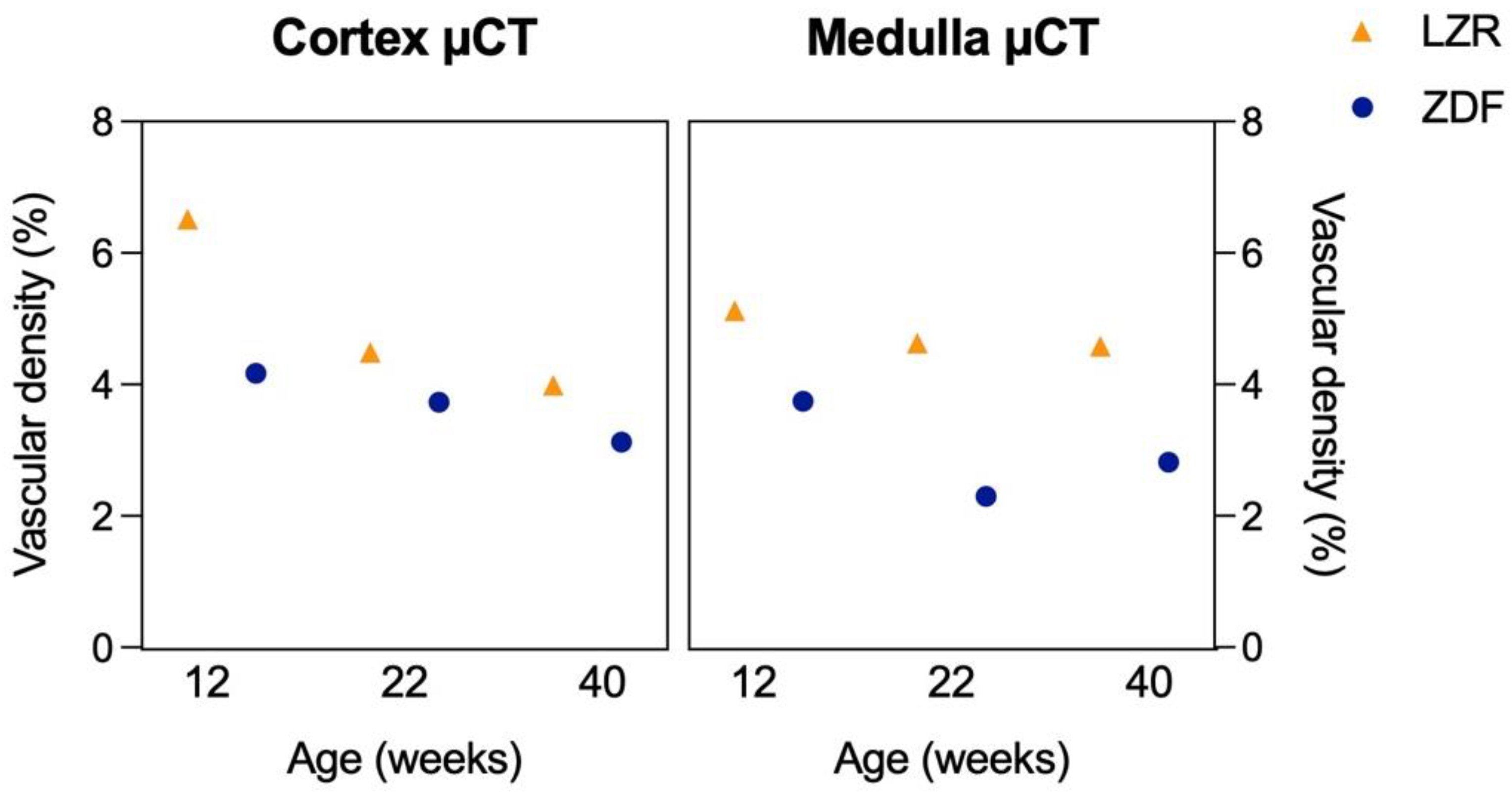 Diagnostics 13 03197 g010