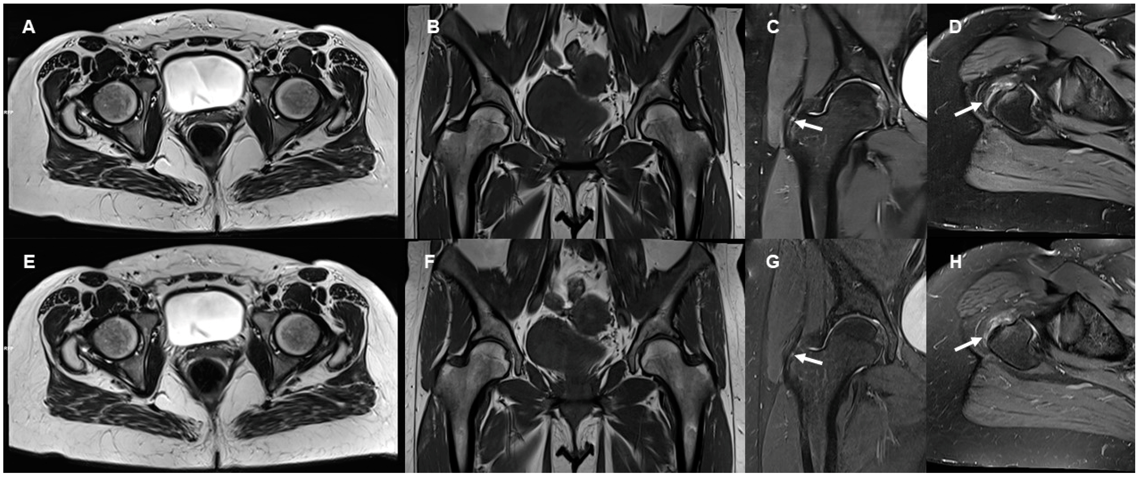Diagnostics 13 03241 g001 Diagnostics 13 03241 g001