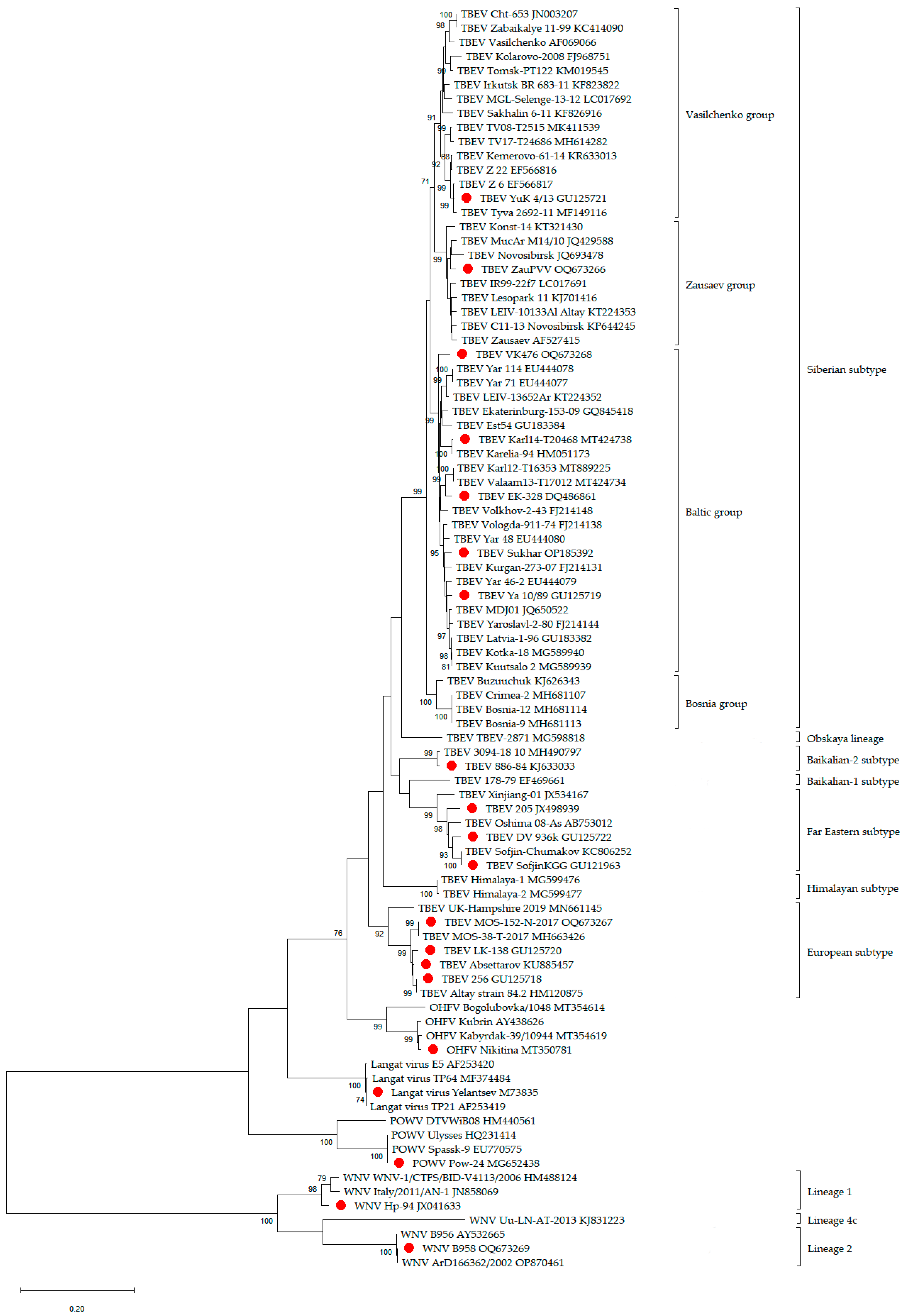 Diagnostics | Free Full-Text | Recombinant TBEV Protein E of the