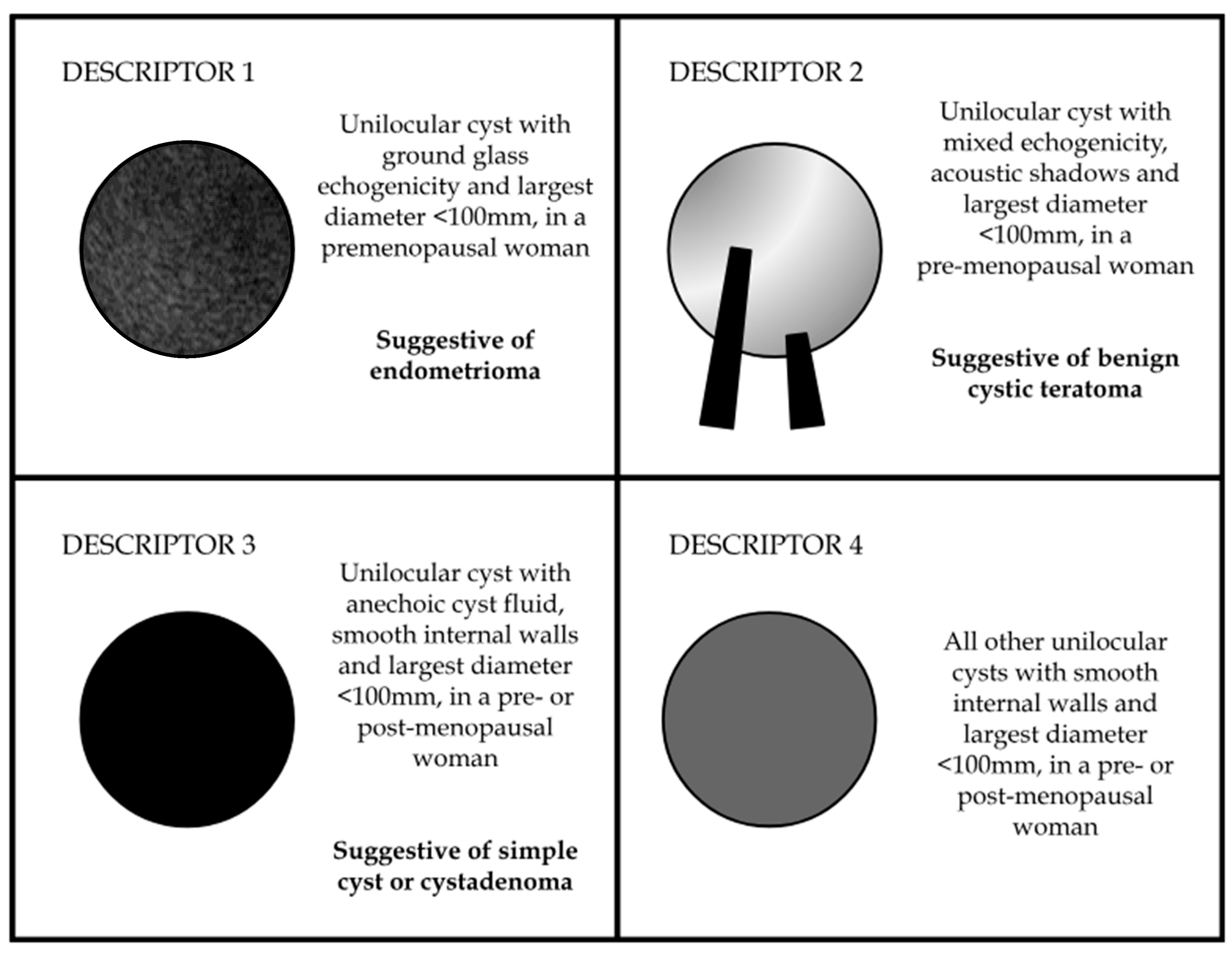 Diagnostics 13 03331 g004