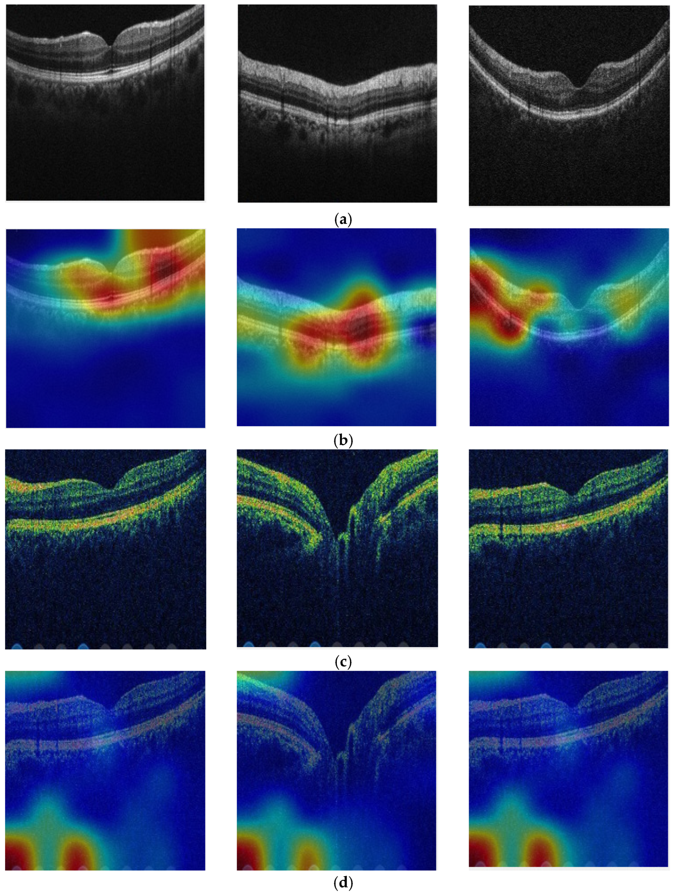 Diagnostics 13 03422 g006
