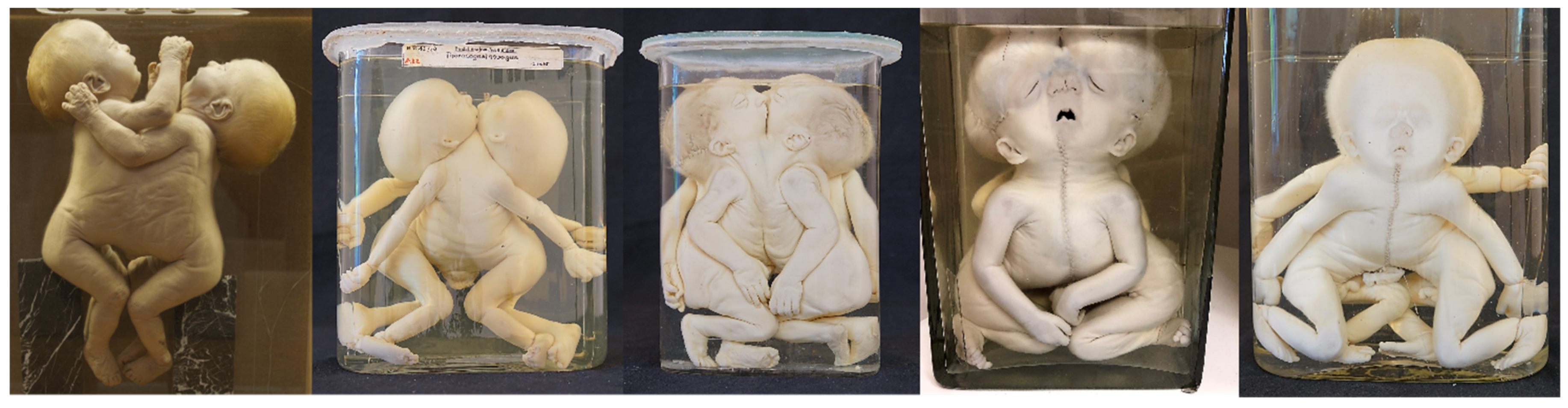 Diagnostics 13 03427 g006