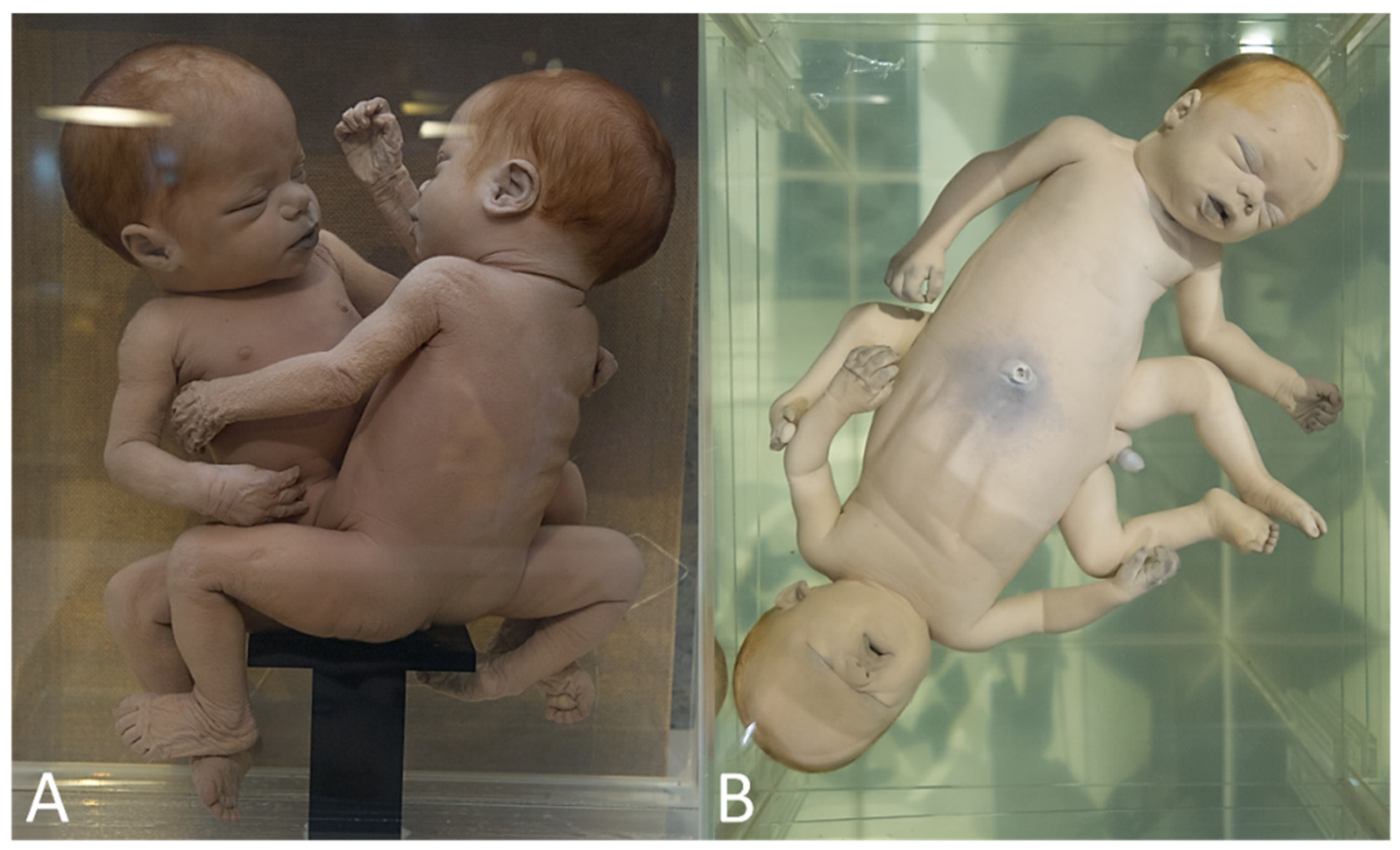 Diagnostics 13 03427 g009