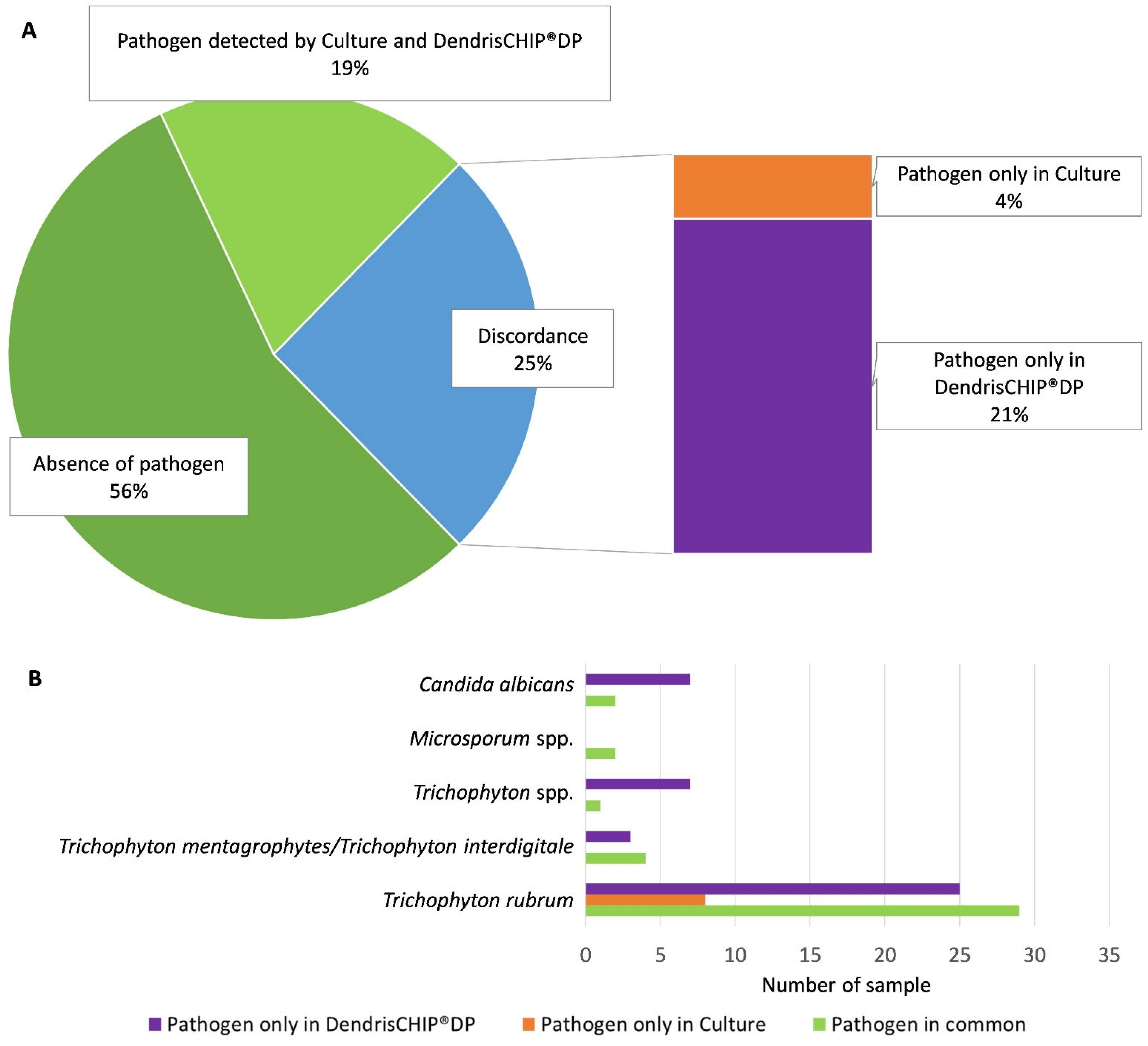 Diagnostics 13 03430 g002 Diagnostics 13 03430 g002