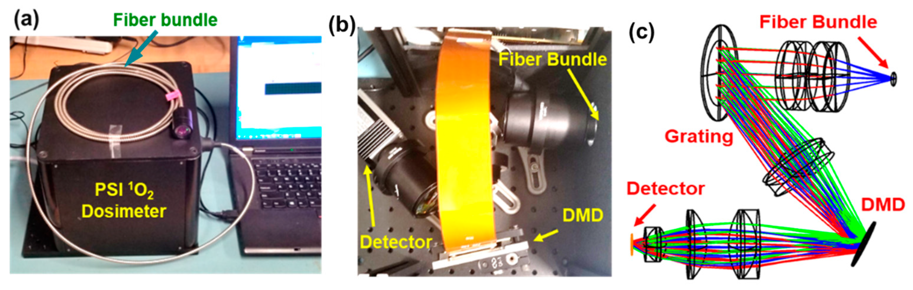 Diagnostics 13 03431 g002 Diagnostics 13 03431 g002
