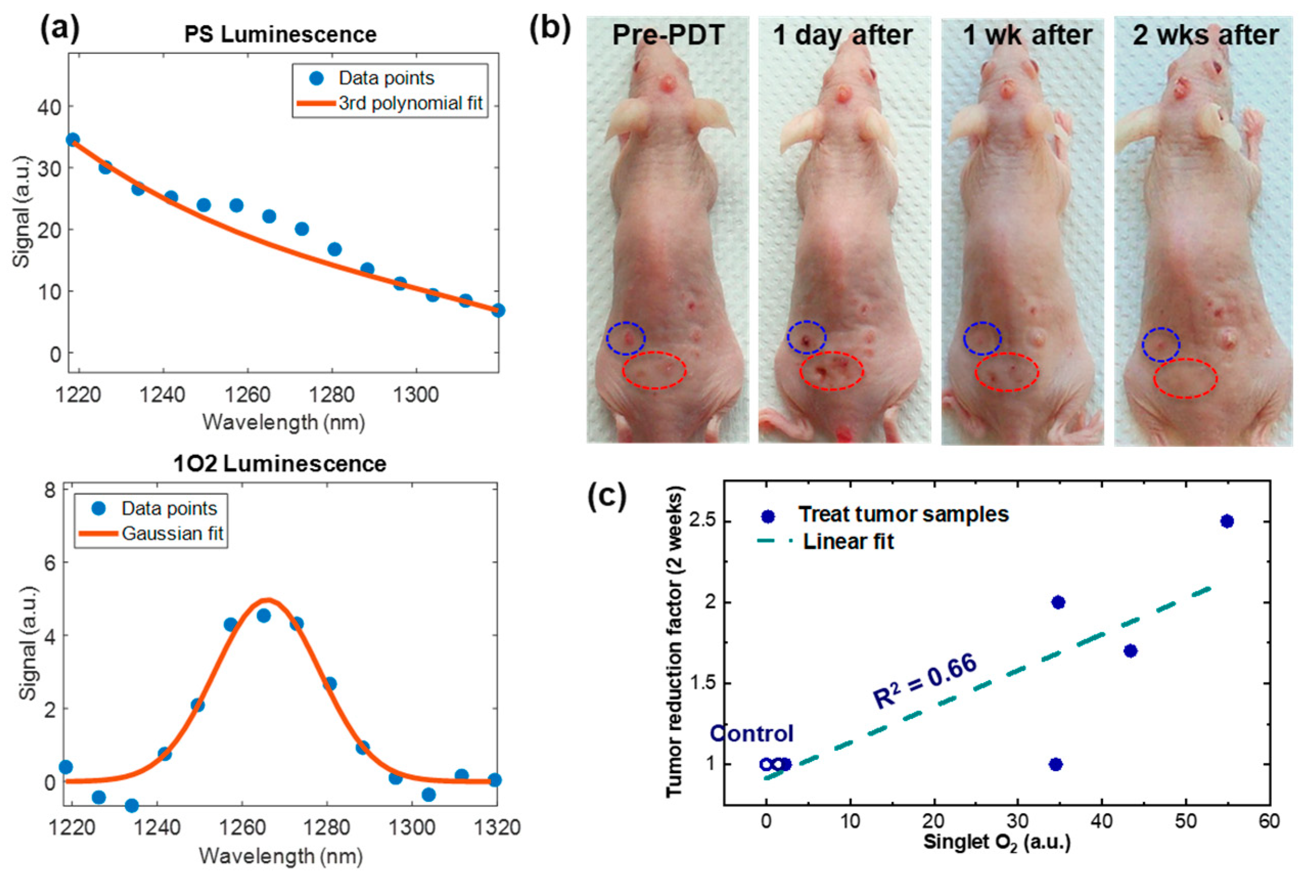 Diagnostics 13 03431 g005 Diagnostics 13 03431 g005