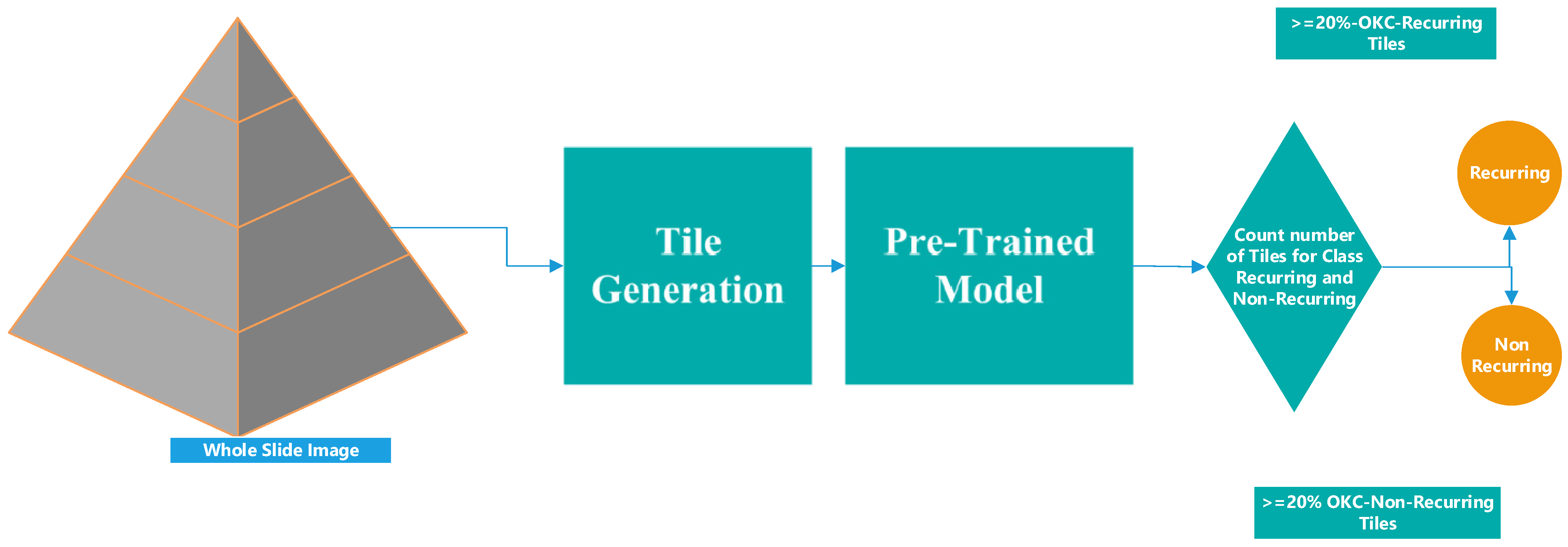 Diagnostics 13 03539 g009