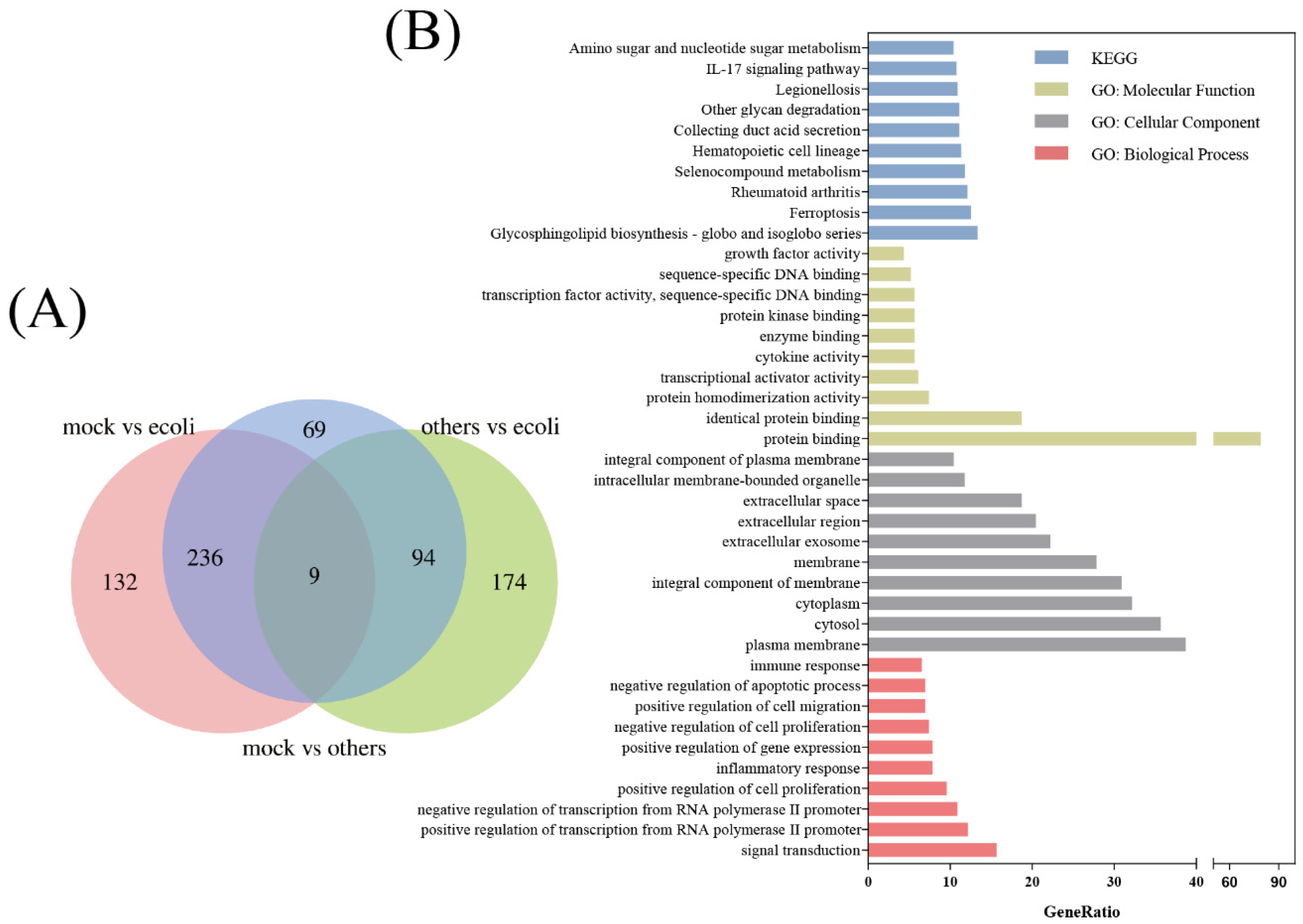 Diagnostics 13 03542 g002