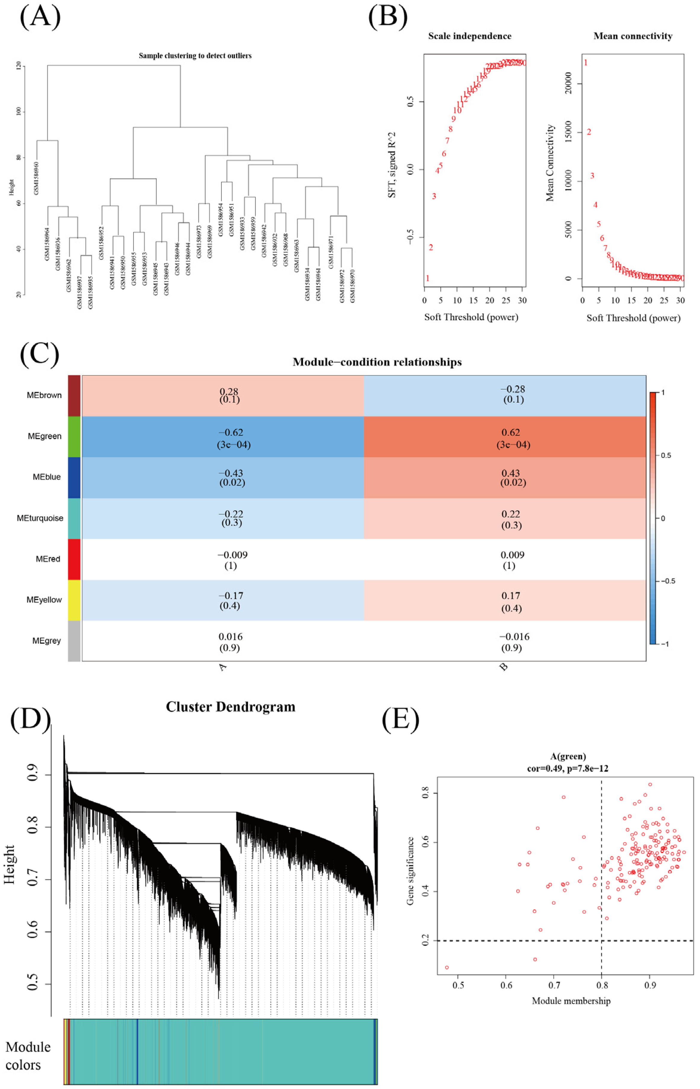 Diagnostics 13 03542 g004
