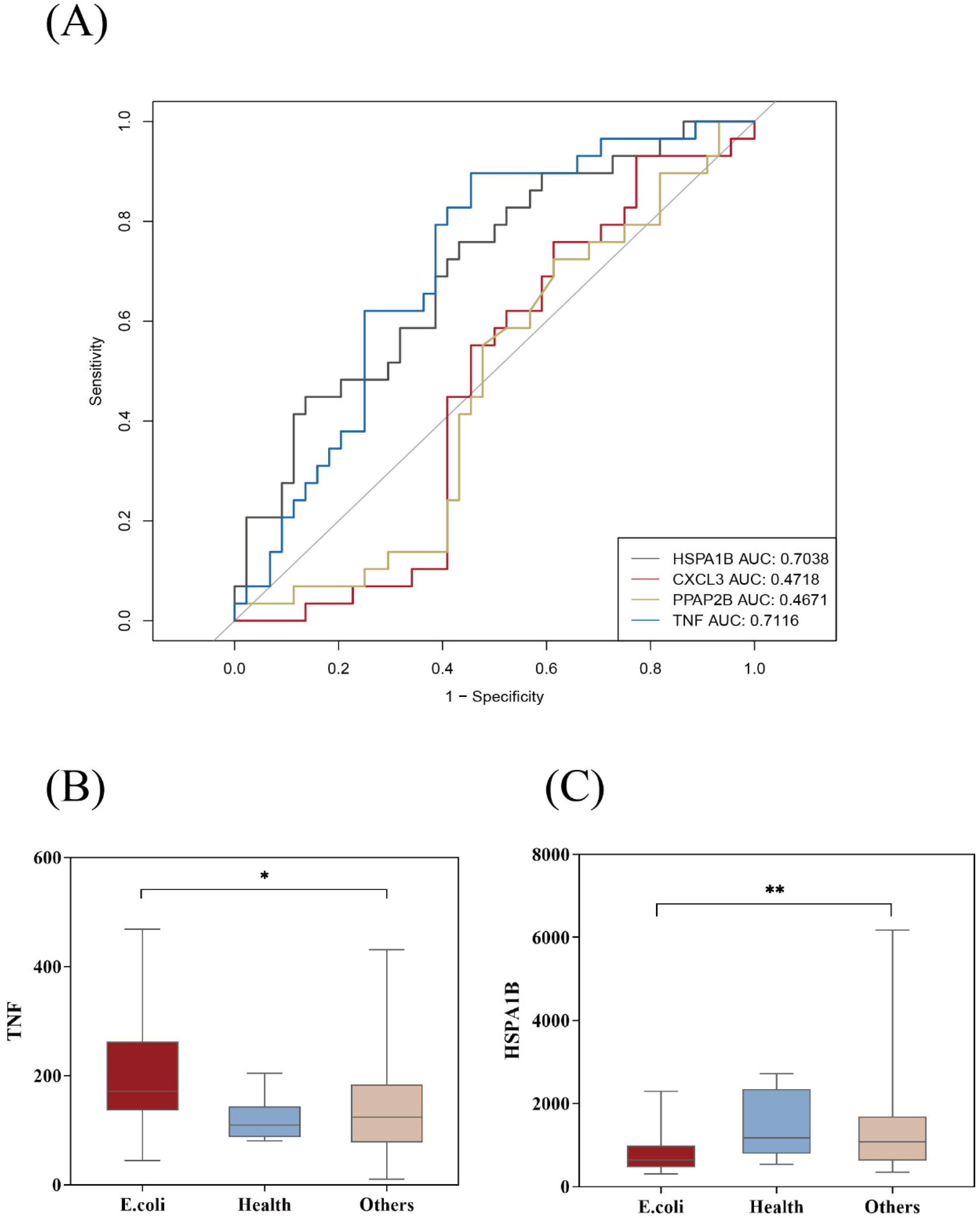 Diagnostics 13 03542 g005