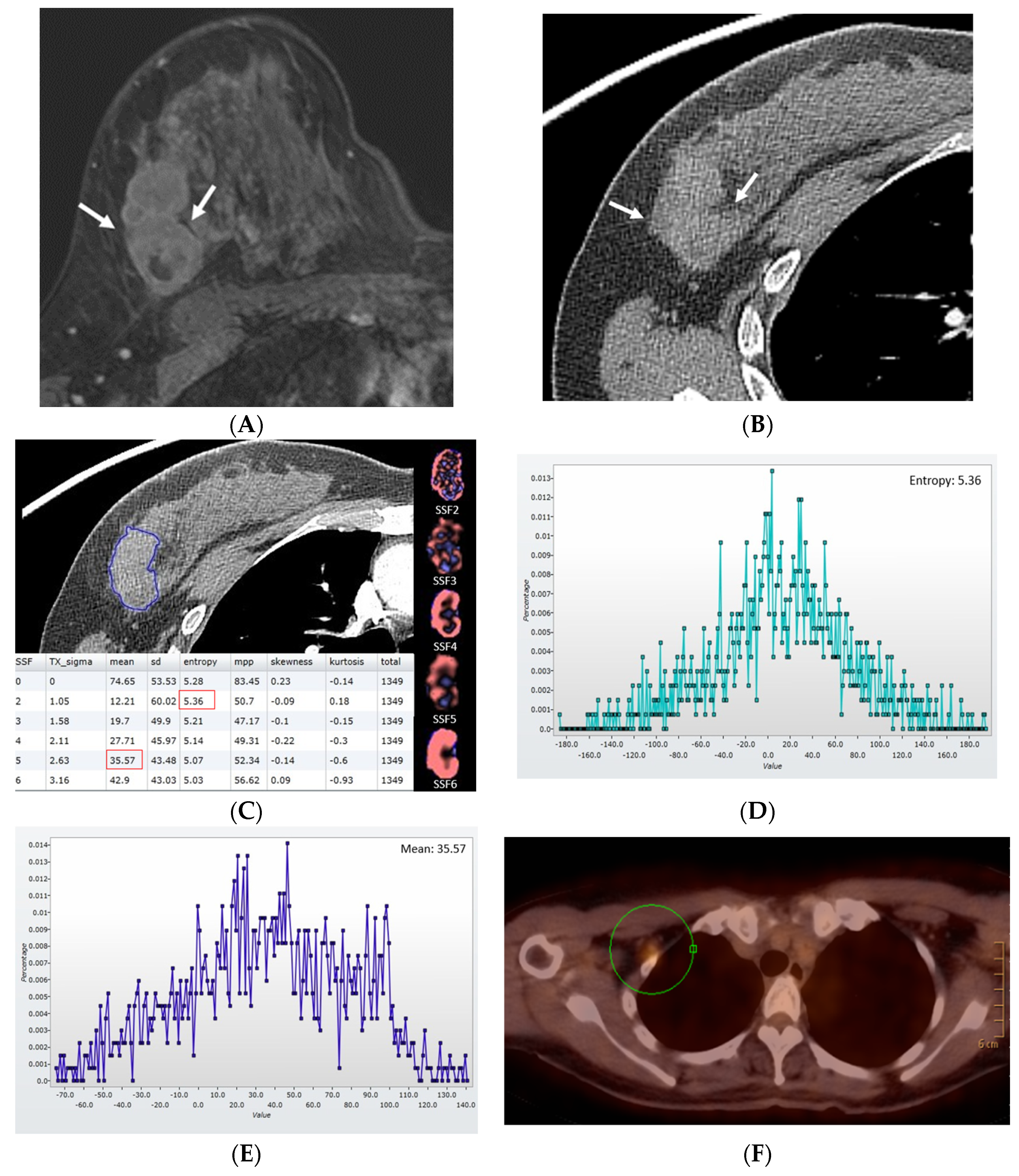 Diagnostics 13 03569 g001