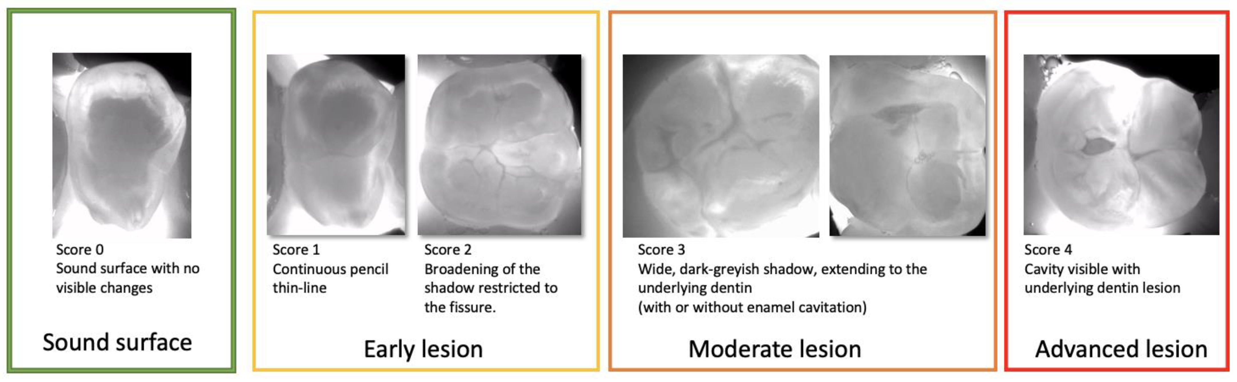 Diagnostics 13 03649 g006