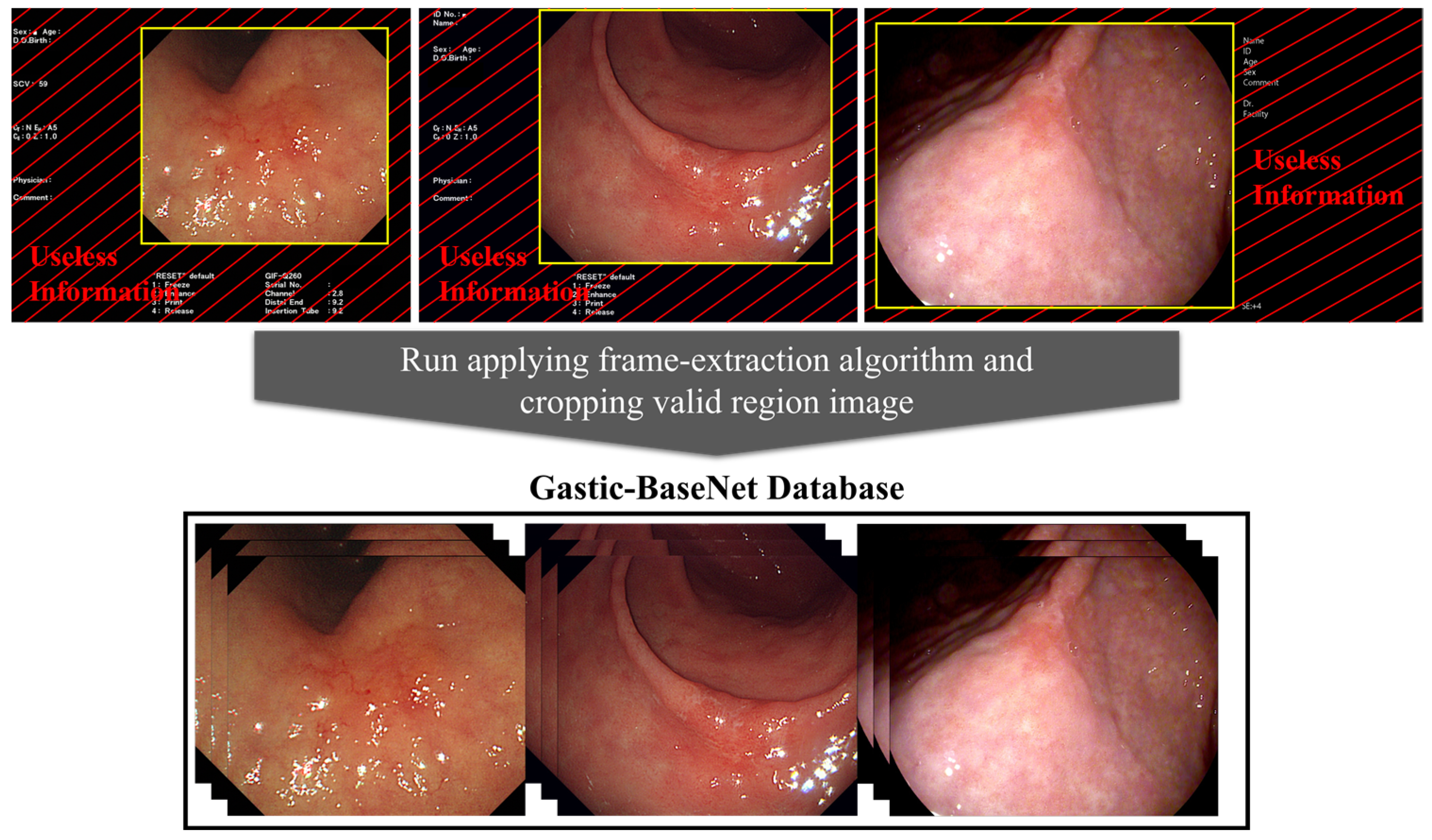 Diagnostics 14 00075 g001