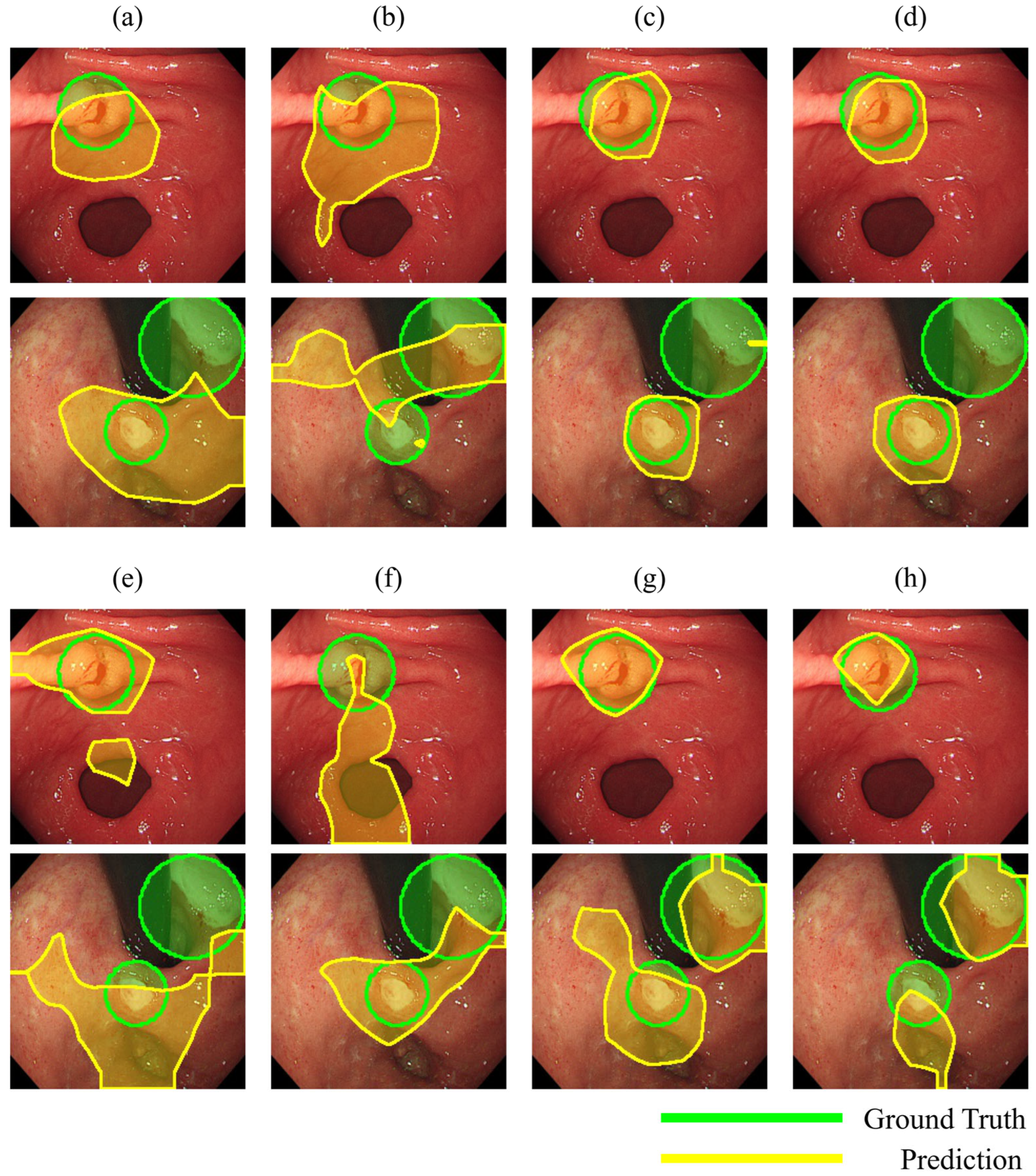Diagnostics 14 00075 g007