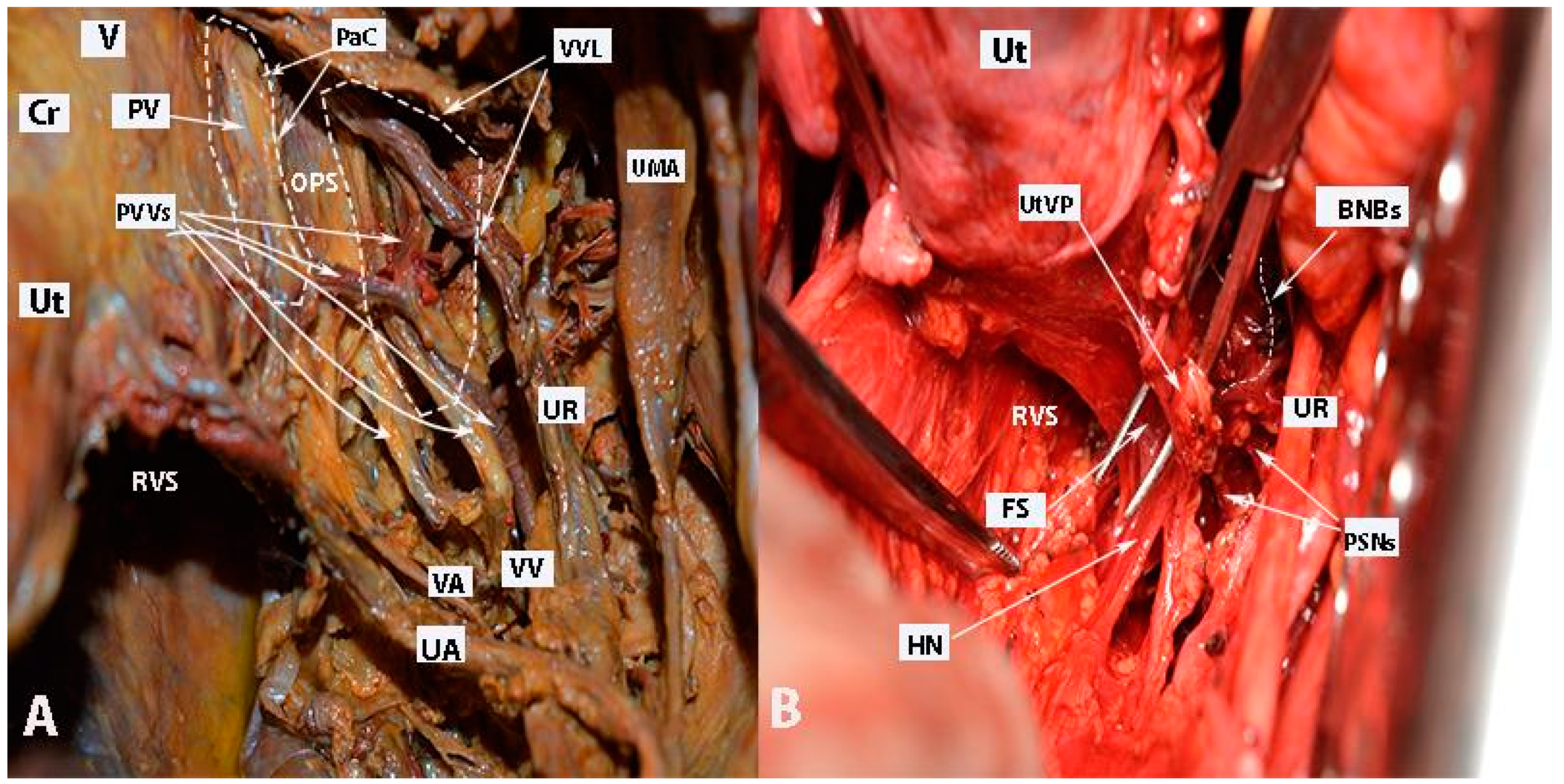 Diagnostics 14 00083 g012