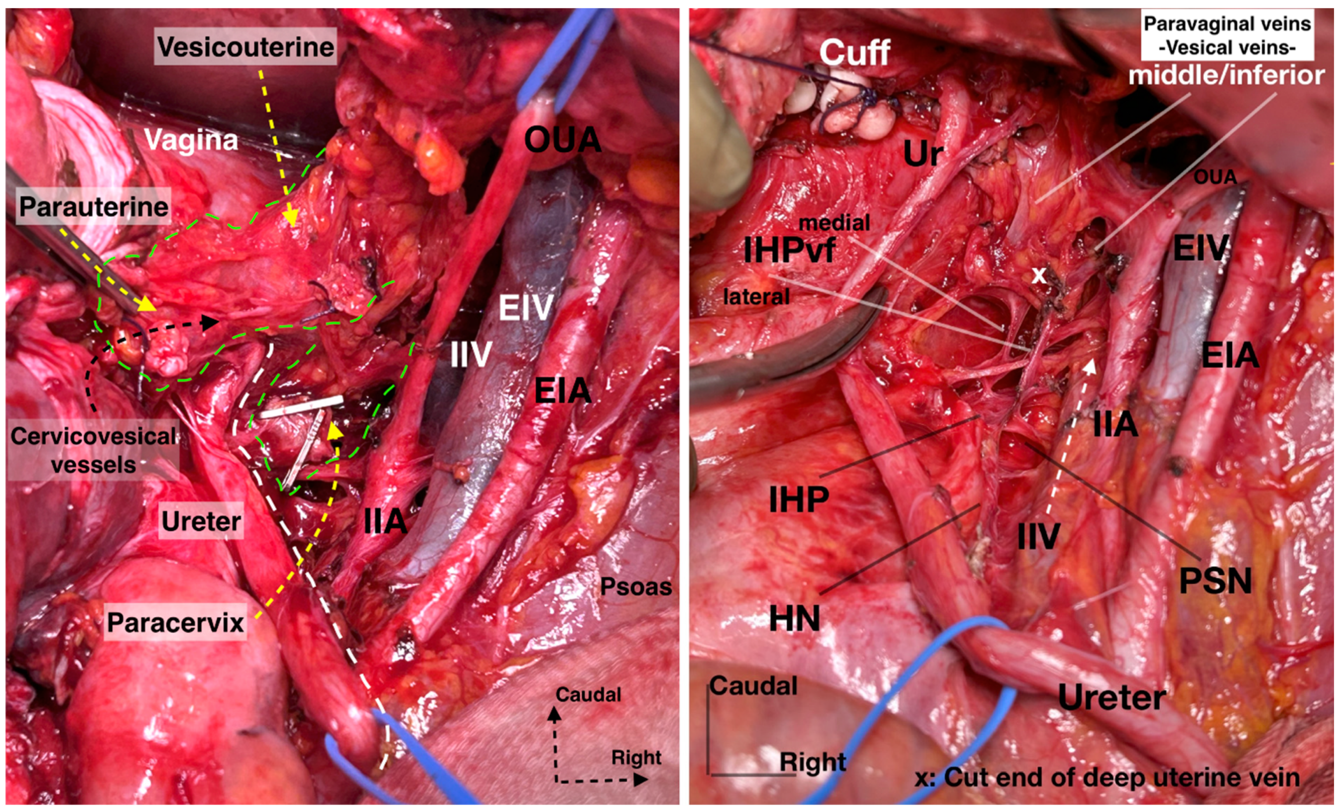 Diagnostics 14 00083 g020