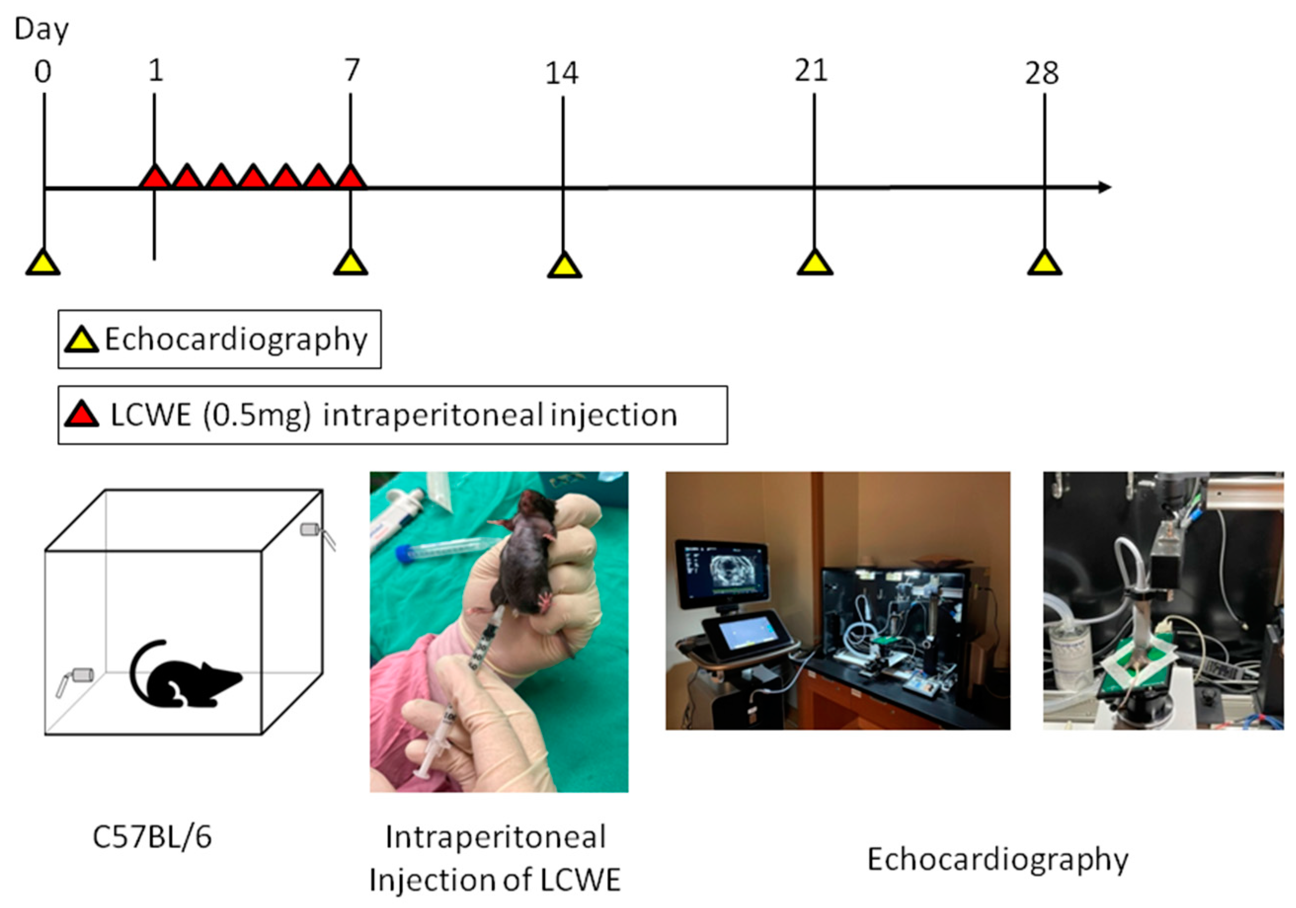 Diagnostics 14 00145 g001 Diagnostics 14 00145 g001